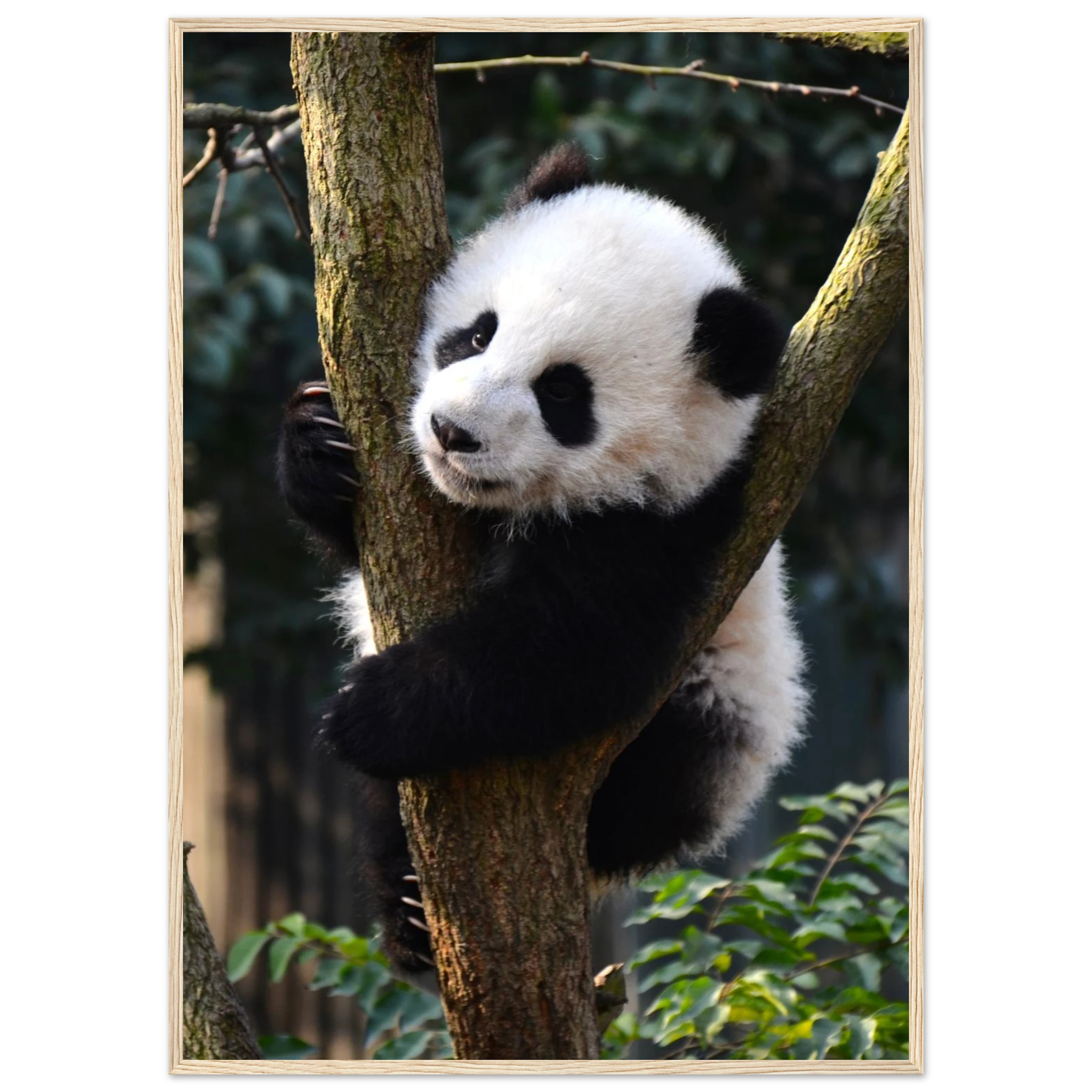 55a42eed-1ab7-43c9-a1bb-6722bd861813