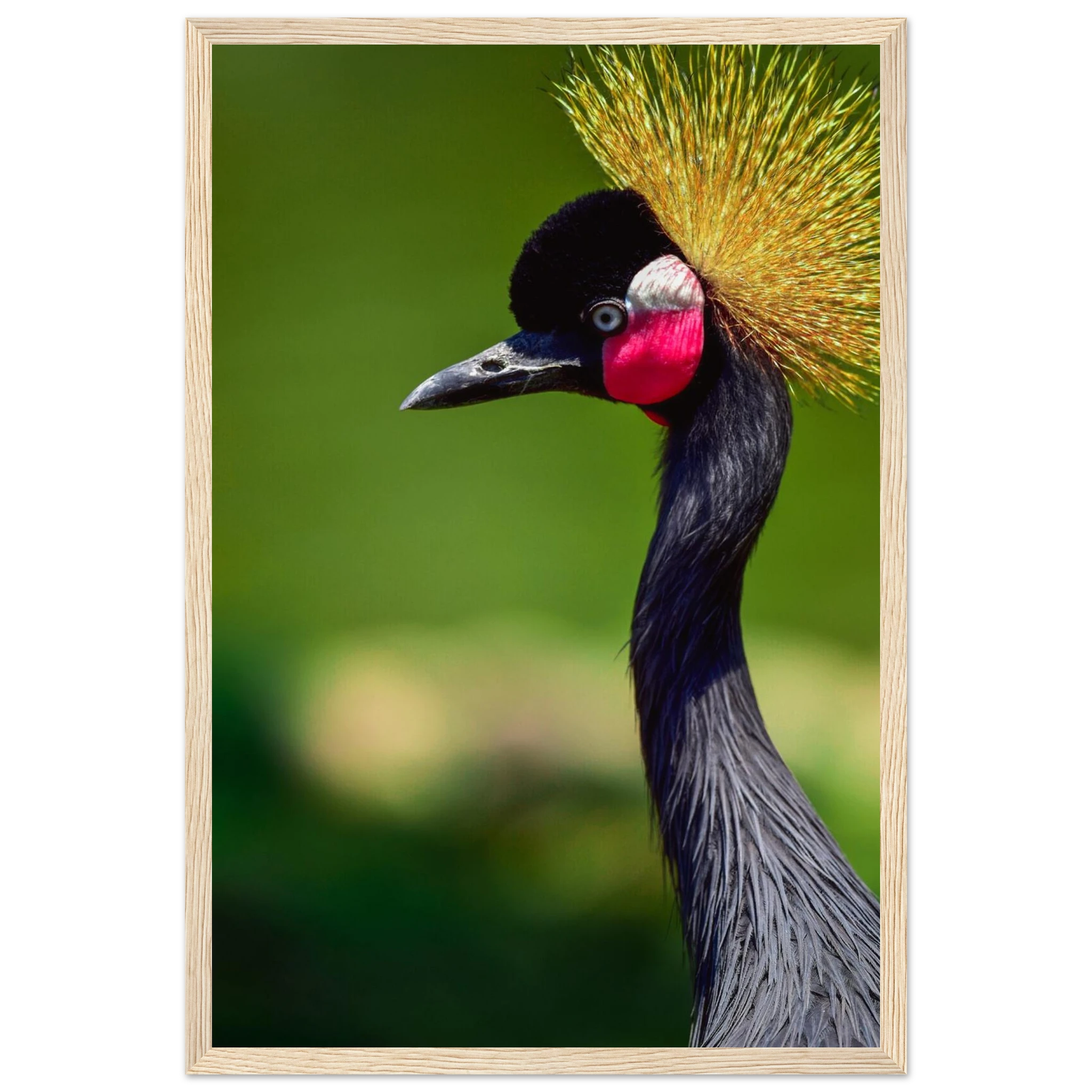 55b77dd8-4db1-43ea-bc35-bebd882ebc47