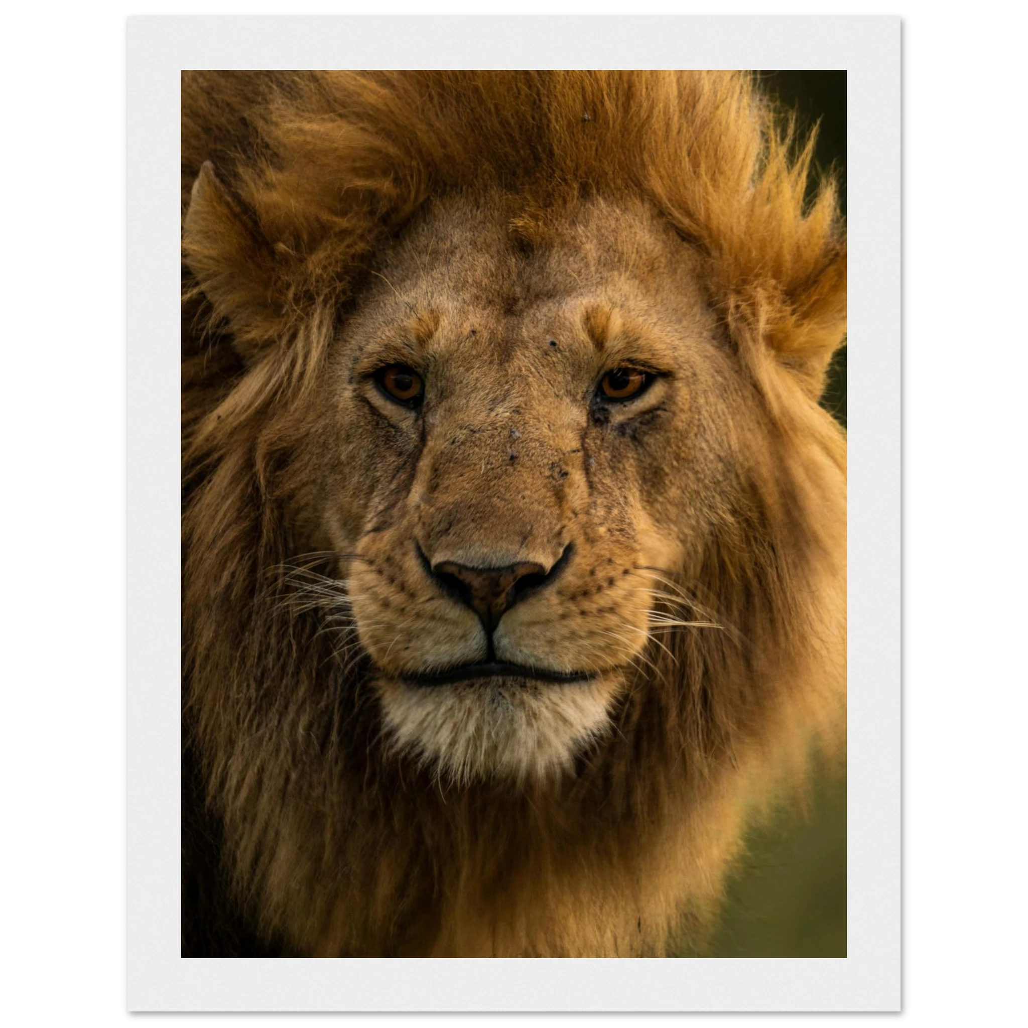 55d07530-0da8-4284-bf53-69230b755232