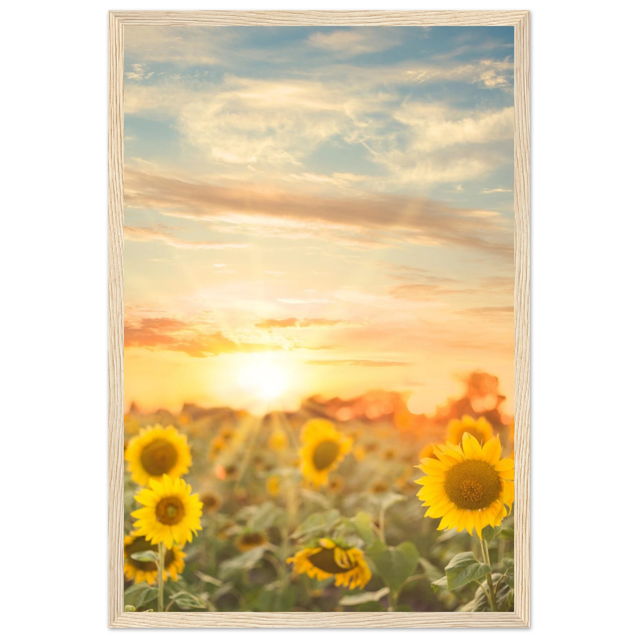 55d67598-406e-435c-b6ab-61e87082d395