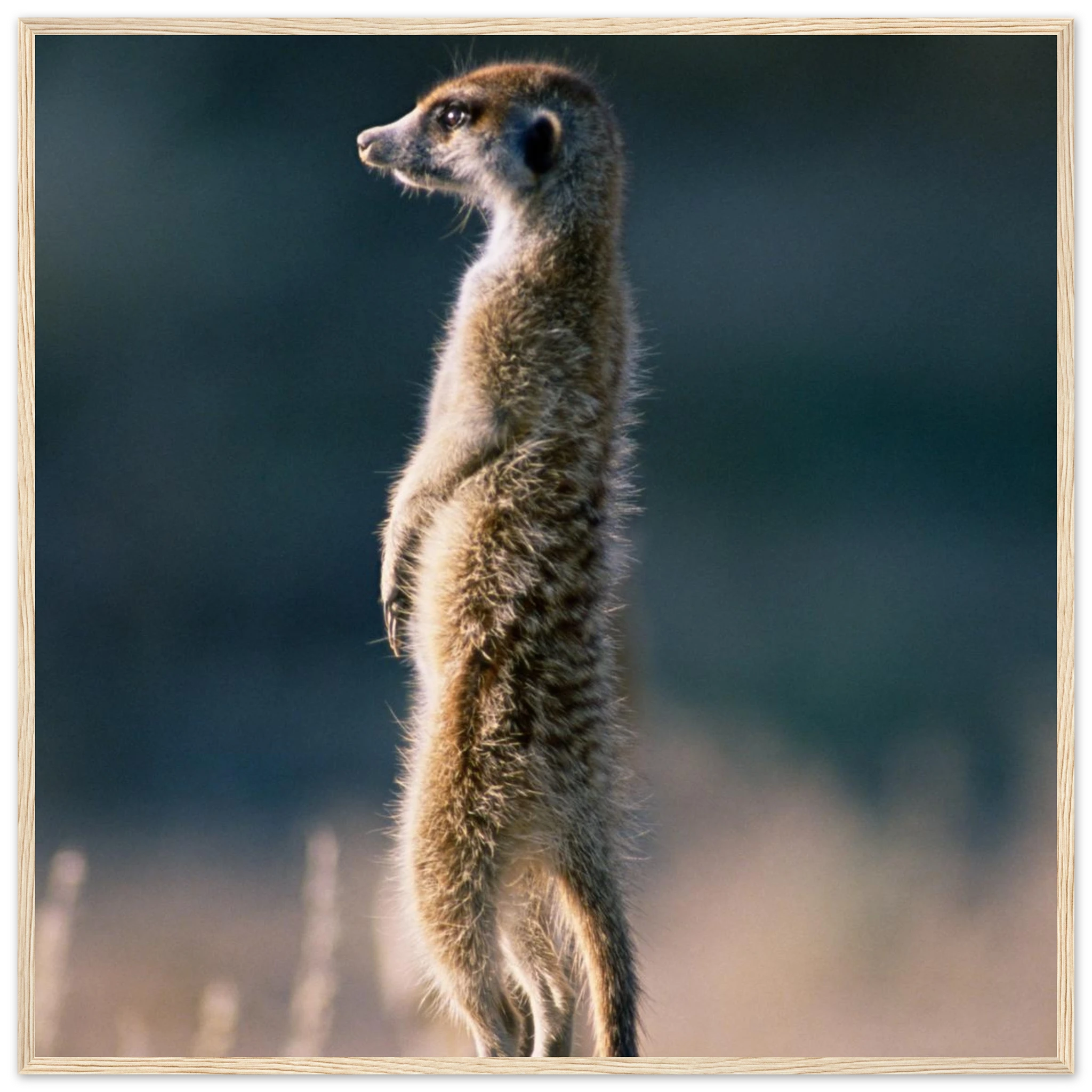 55e1b39c-02bb-4497-a81e-3e98945d44d7