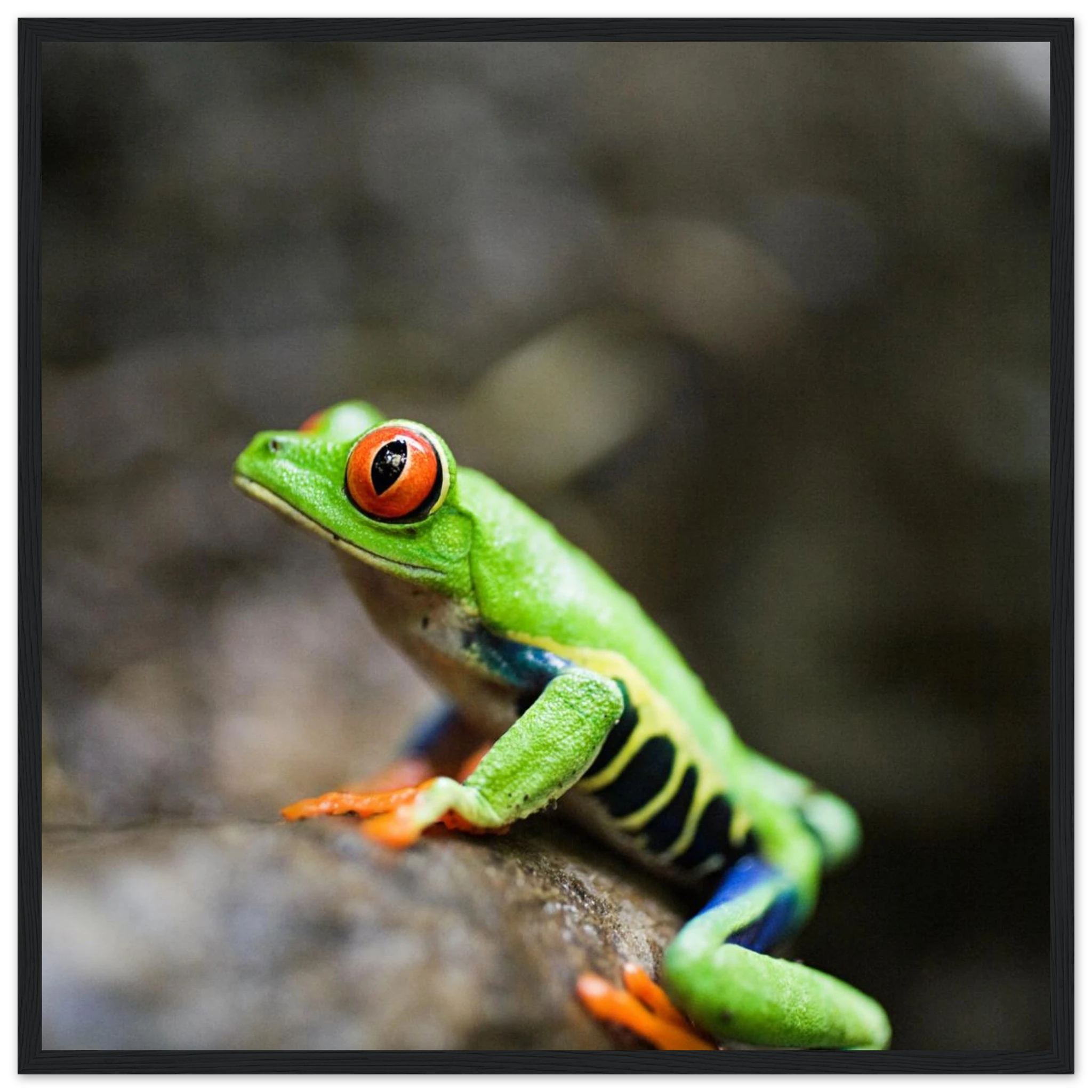 55f26596-ac47-48c2-a174-b879e2d13083