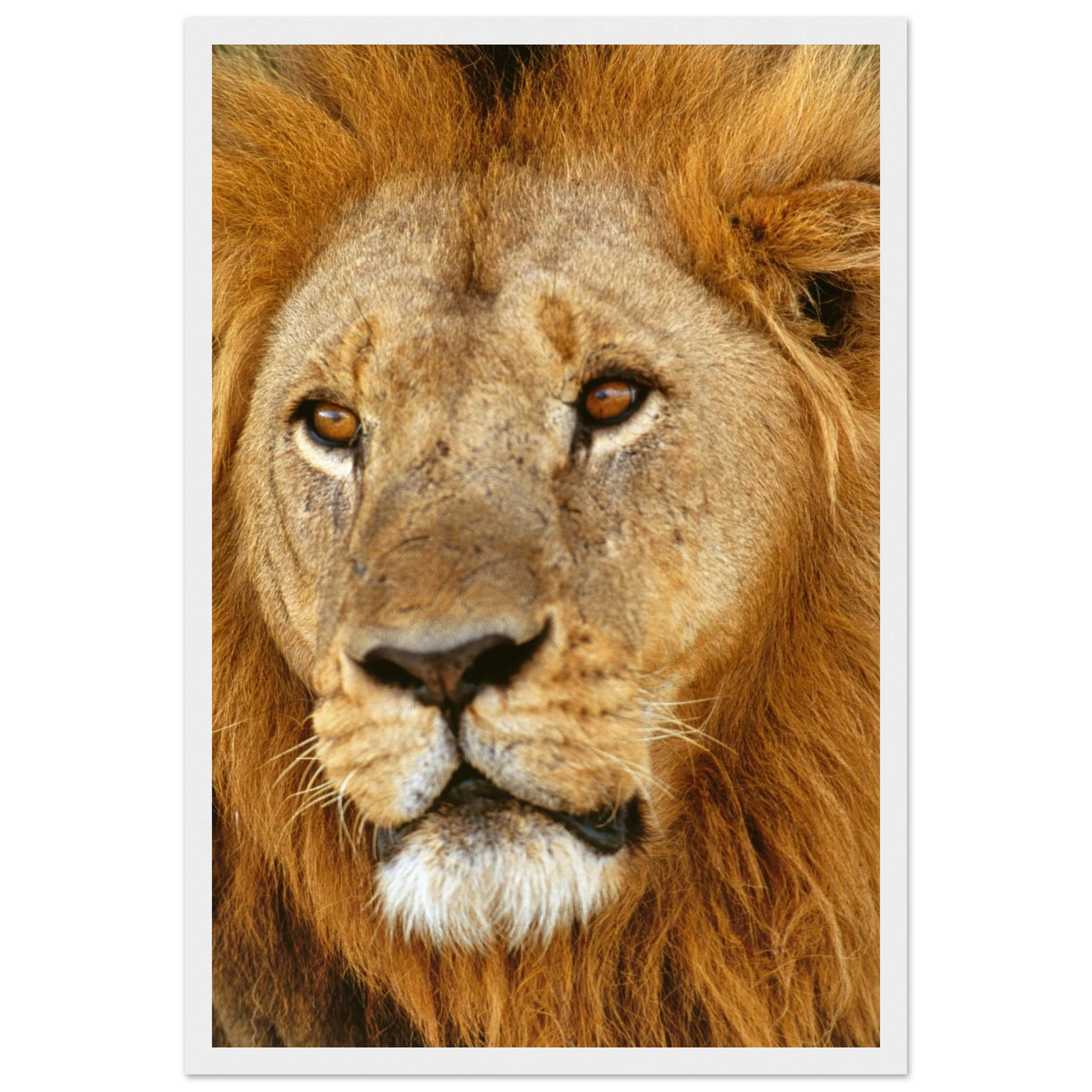 55f3051f-8b36-4b28-9fe6-b2fd1b51007f