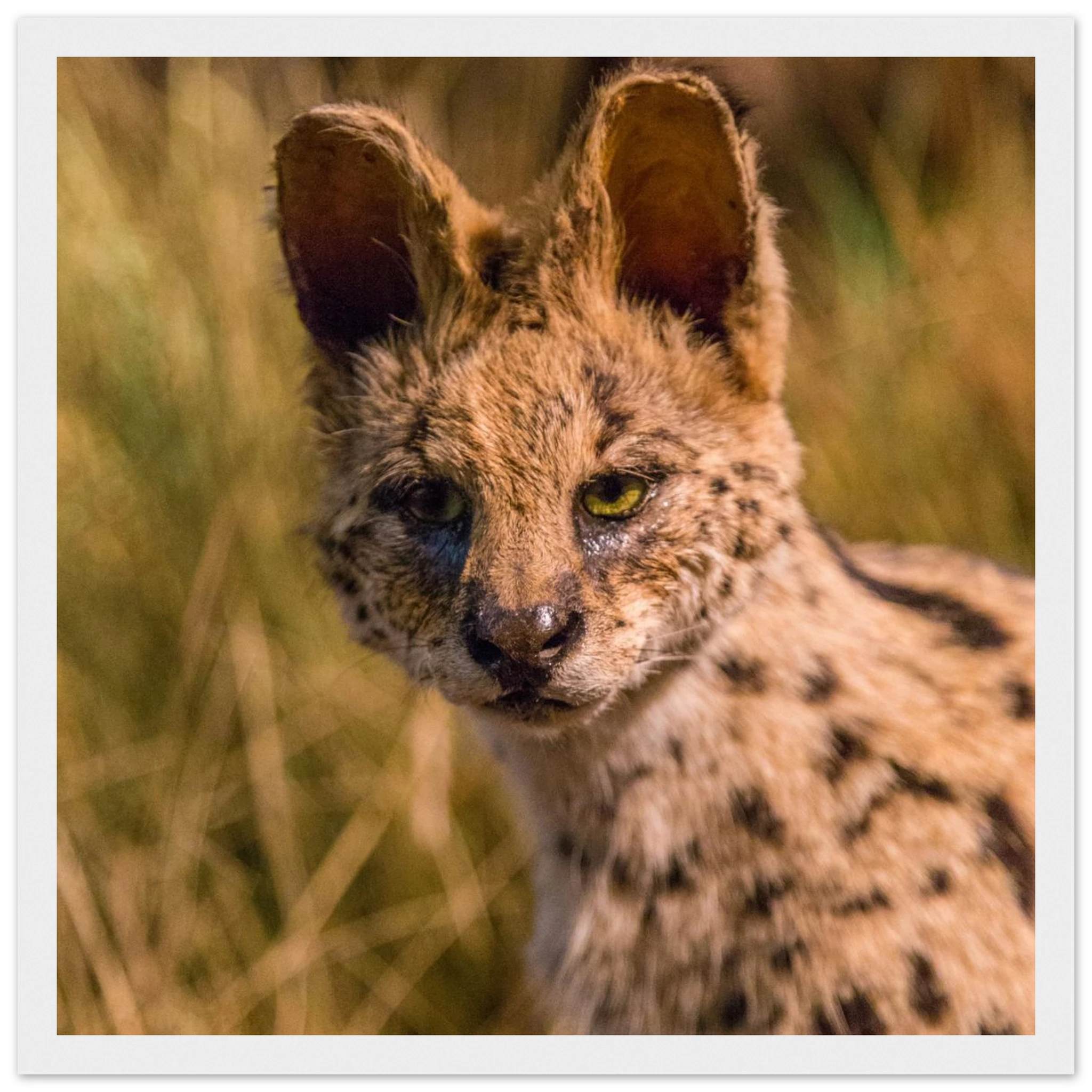 560b81de-3578-4053-895e-f36aa8165cdb