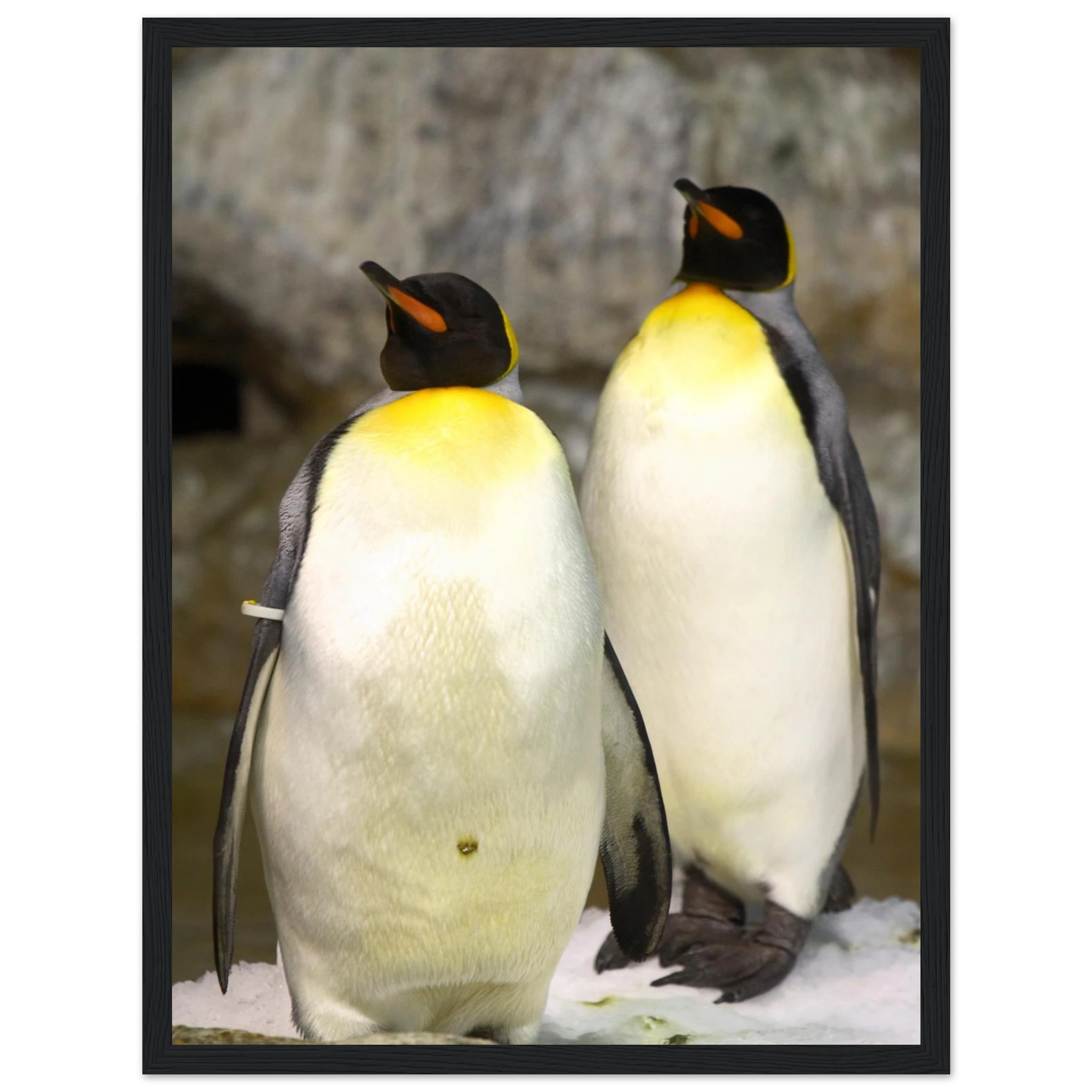 5637a68f-72e2-4792-bc1b-c006197f6f8d