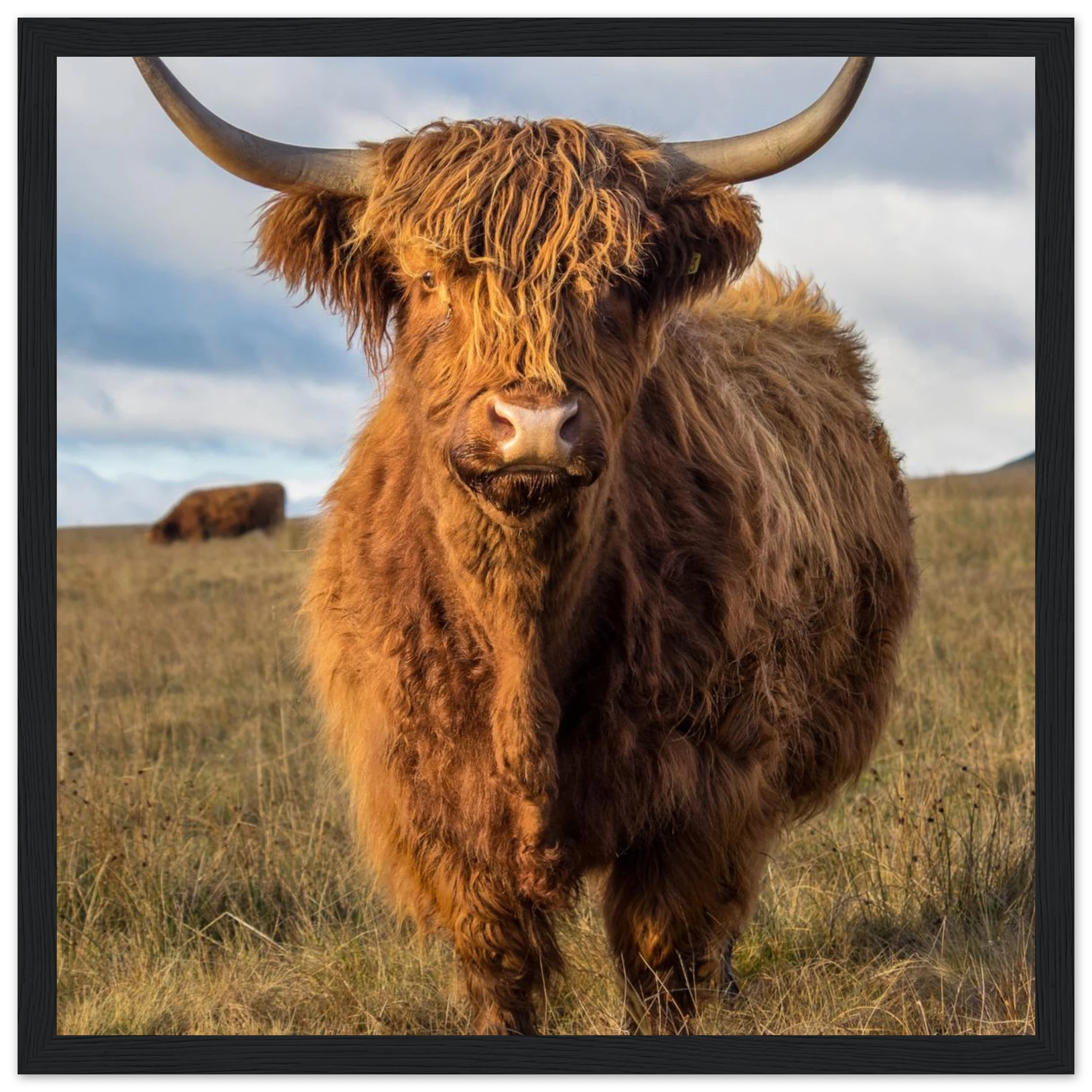 56399df7-d2d7-4ed0-a59d-2d66a2e1f7f8