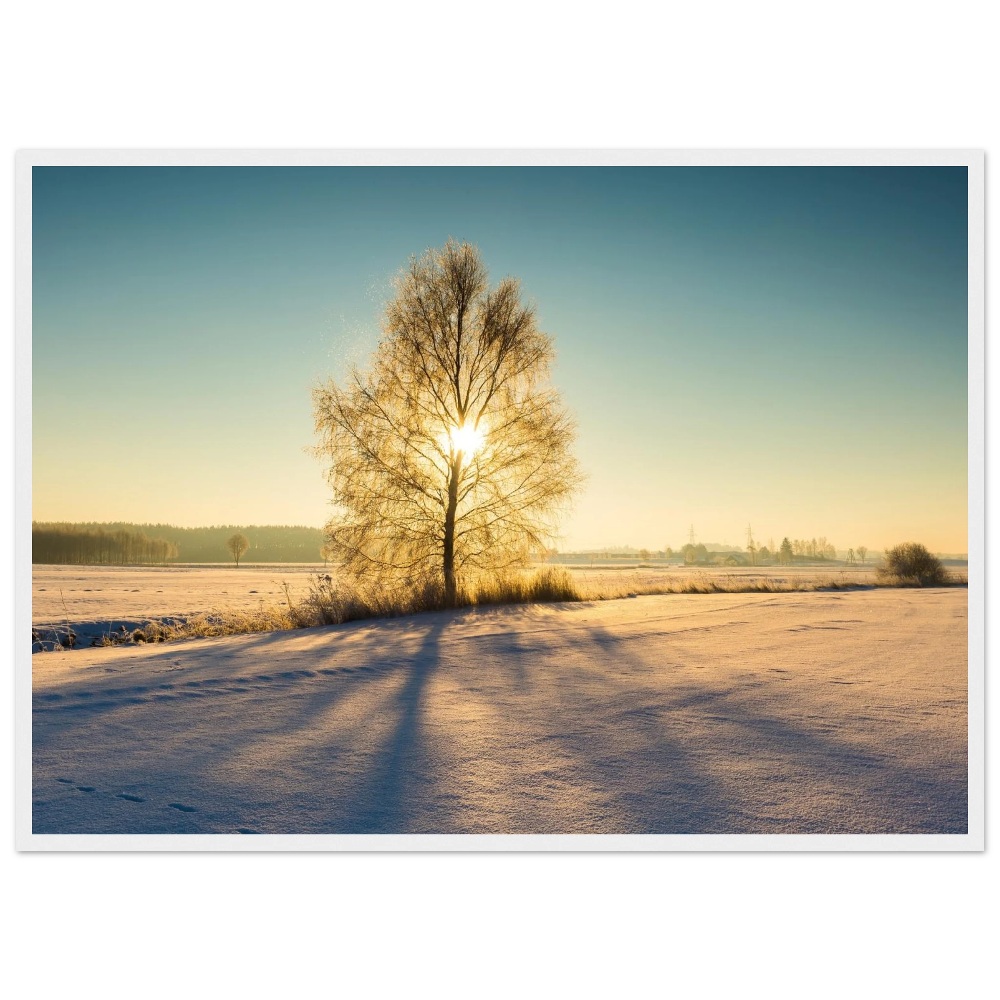 563beaa7-ef96-46ea-be08-d307509f4b55