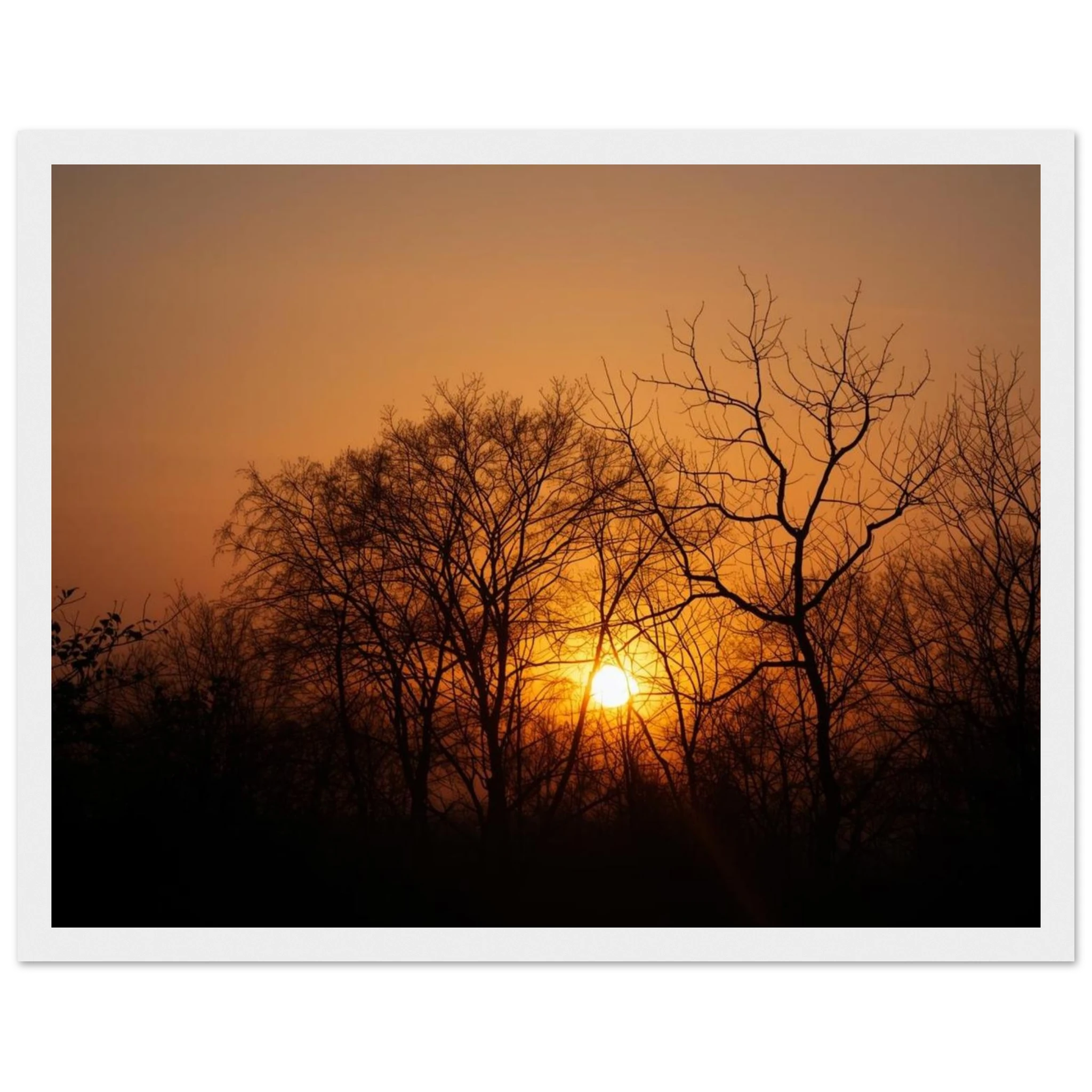 564740fb-ae52-4e3c-a9d2-e87473ea0610