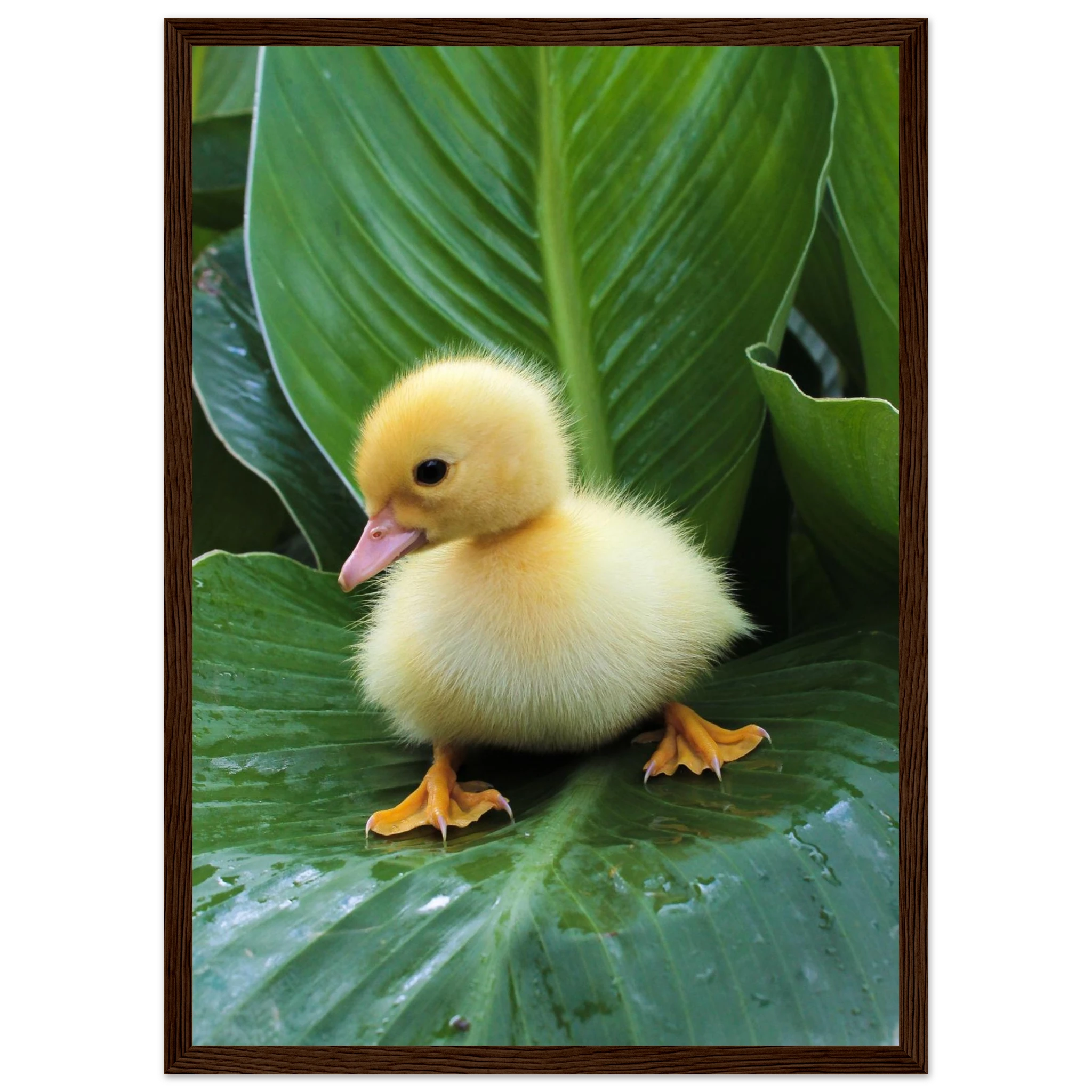 564d94a6-8bf5-4b4c-9862-256674365a58