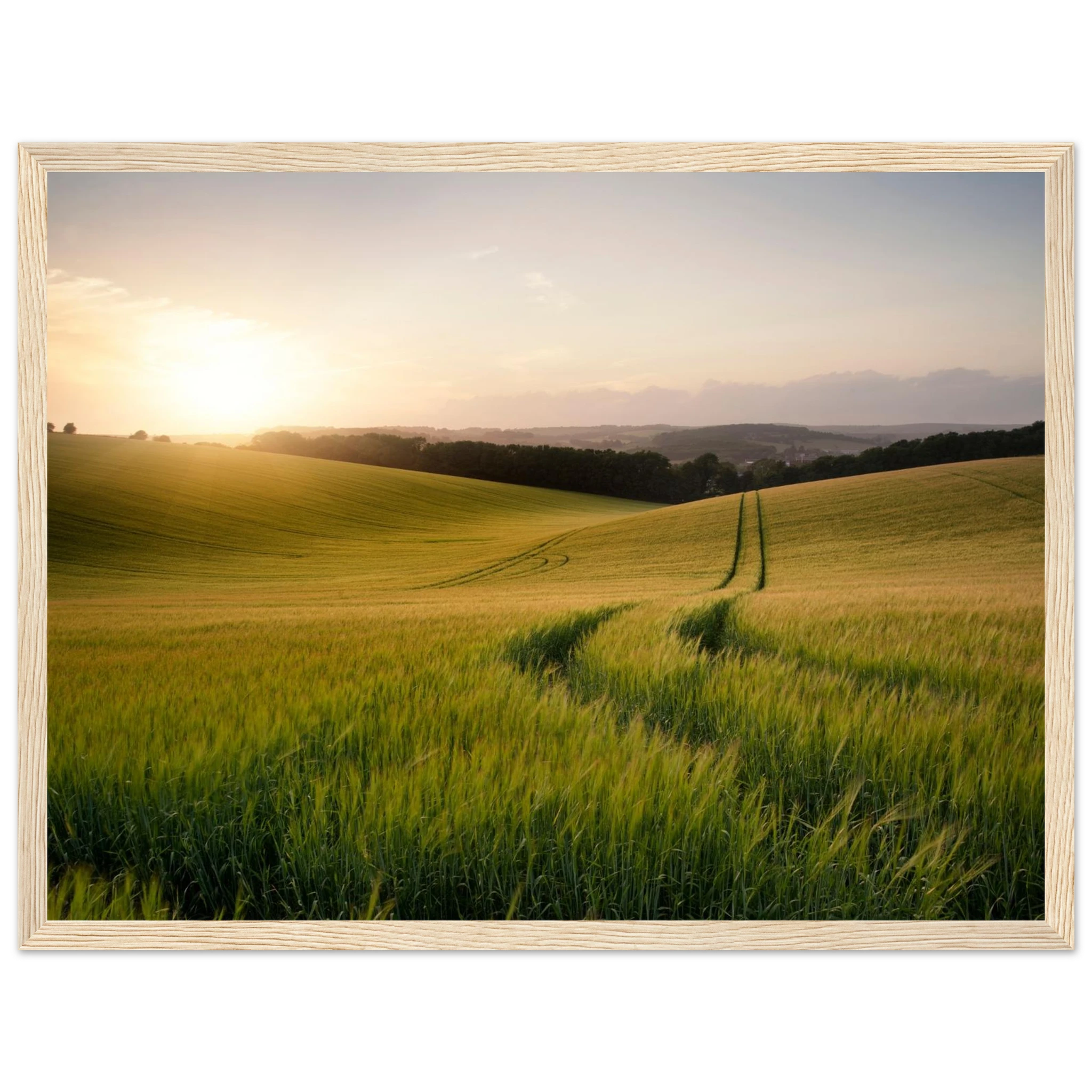 5656b230-87ae-4b87-b13f-7c454cc823c5