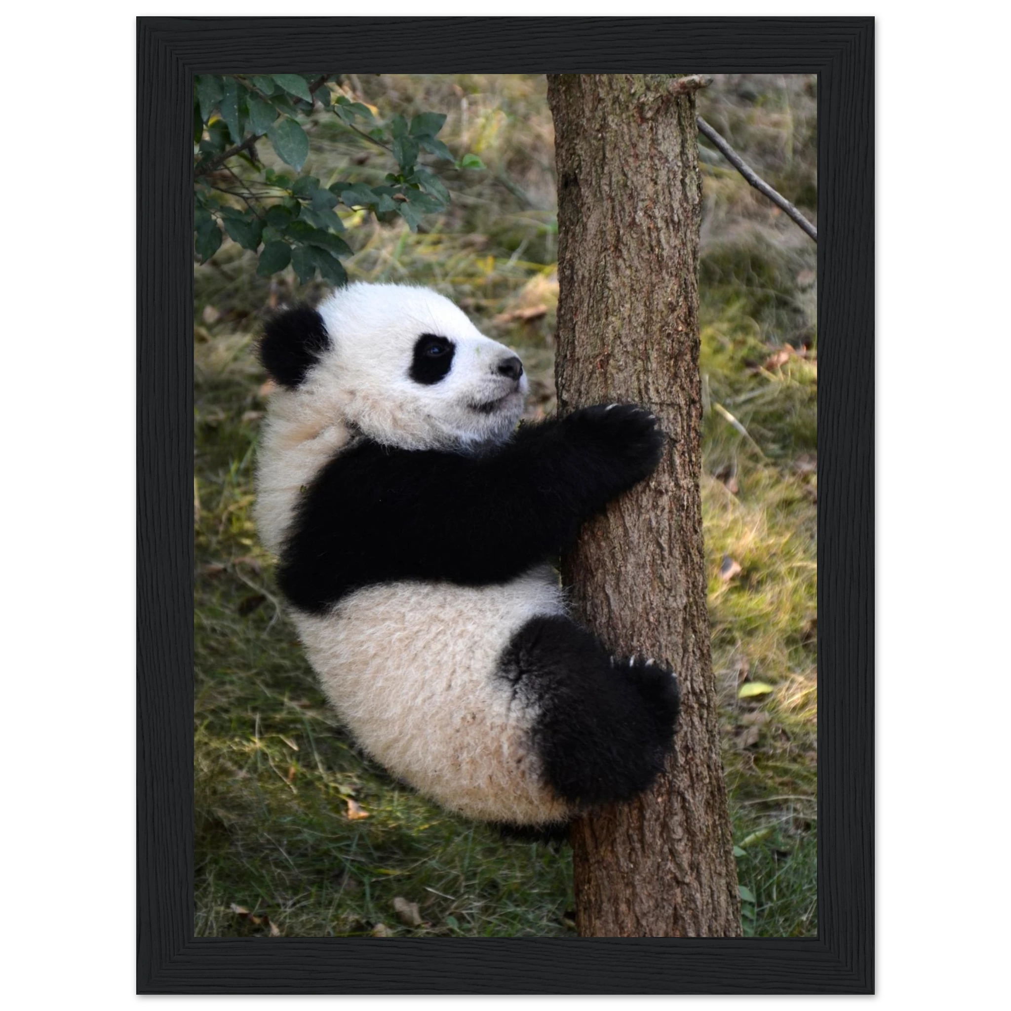 5666770e-0cbe-4056-995b-6ba24a2683c2