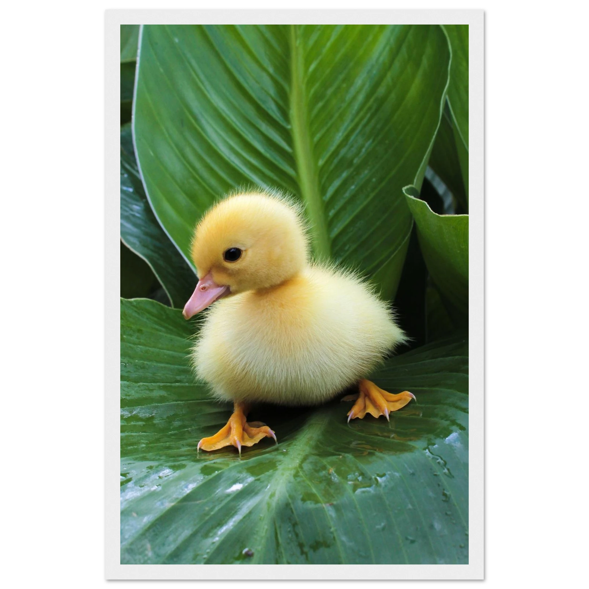 566eafff-dd5c-4da2-bb37-ba9464369e95