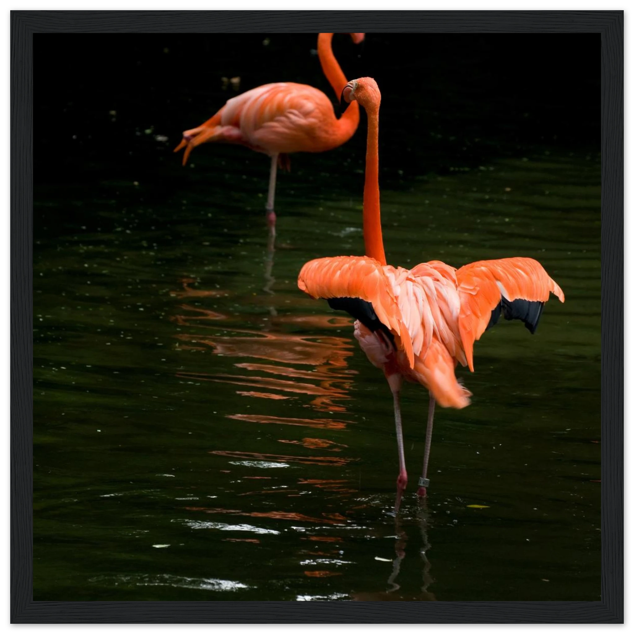 567ebd02-ce21-4281-916d-0458f5d93f25