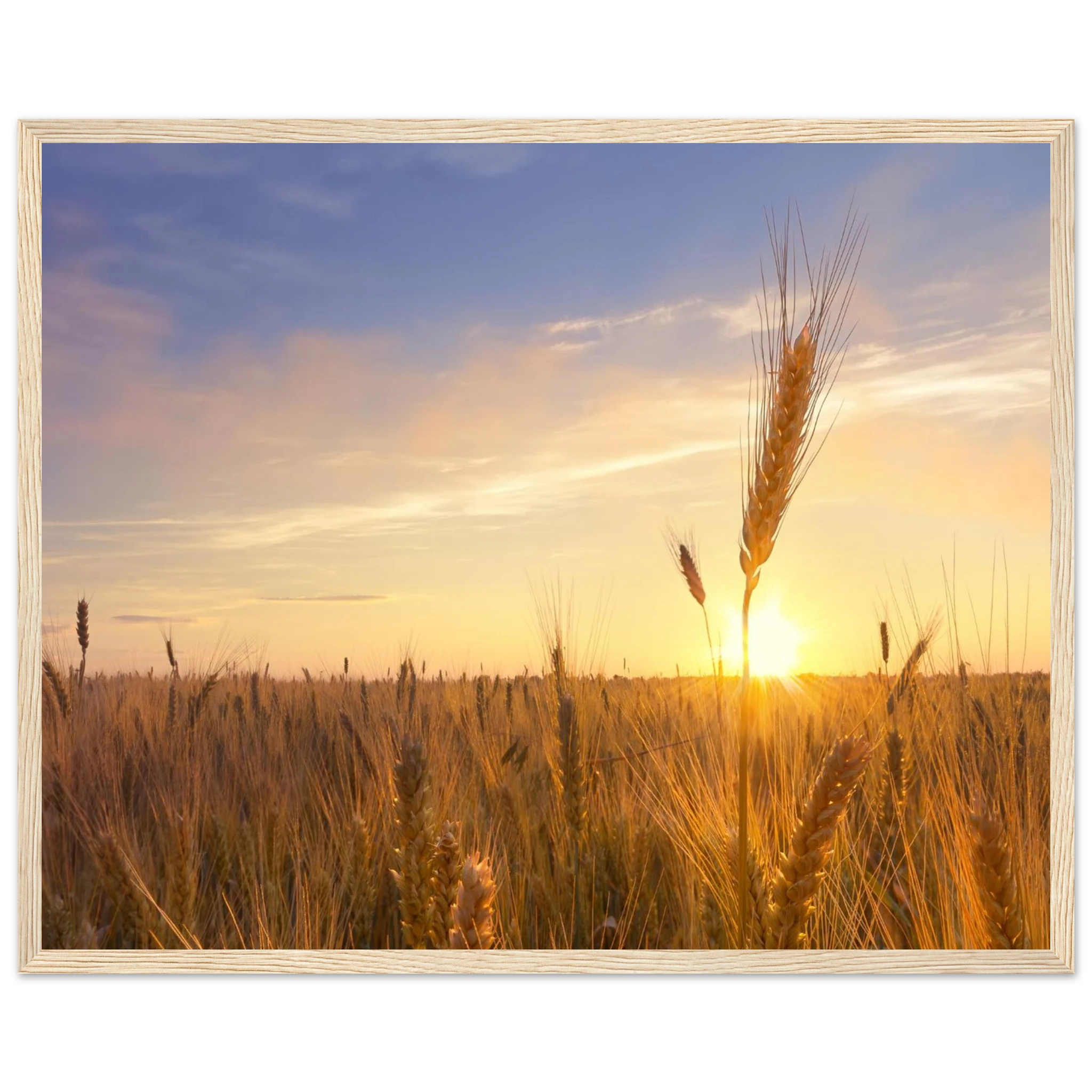 56a9fb95-428a-4b7d-b500-1eddab4efaa6