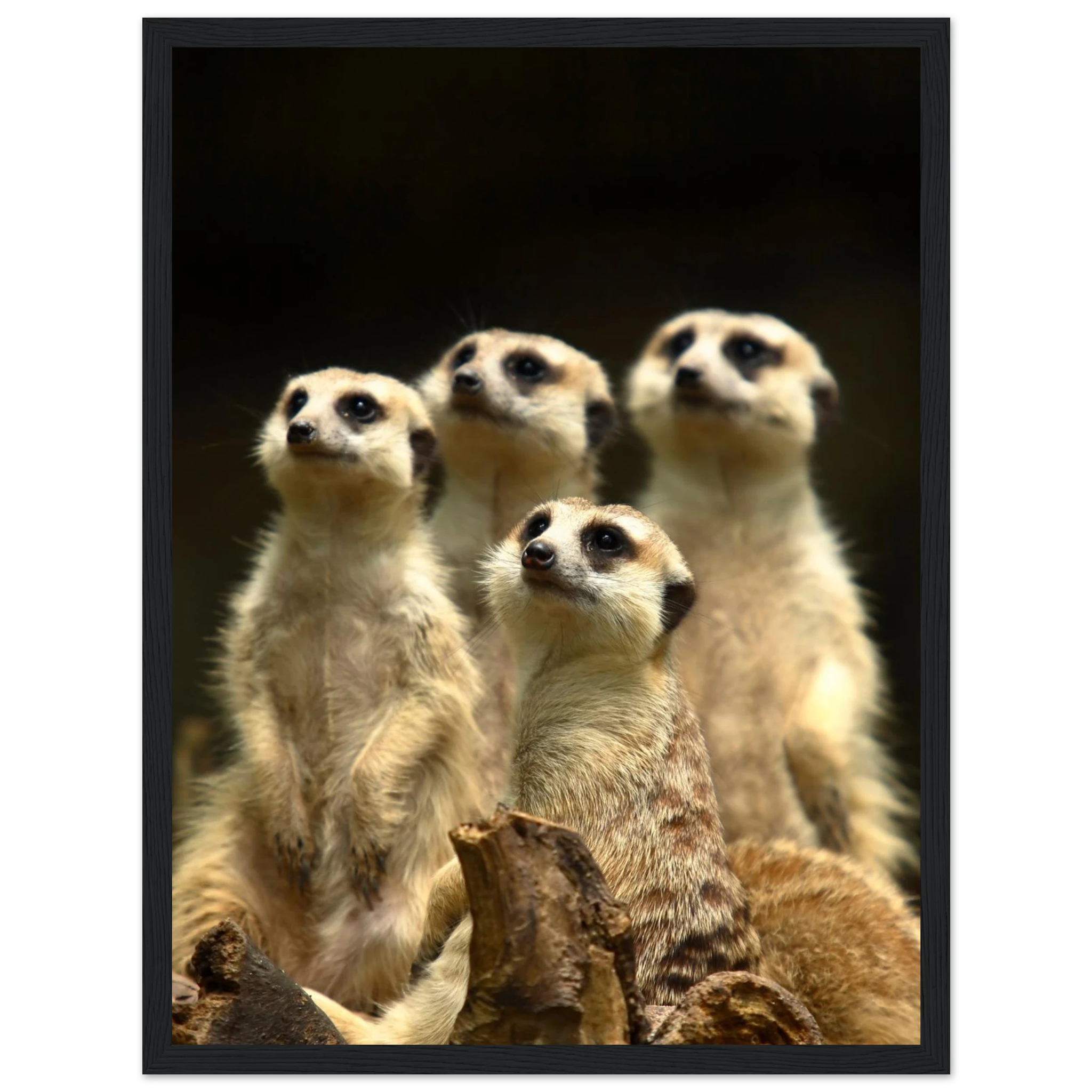 56d1b389-f119-4a36-984c-a3e6d6043cfd