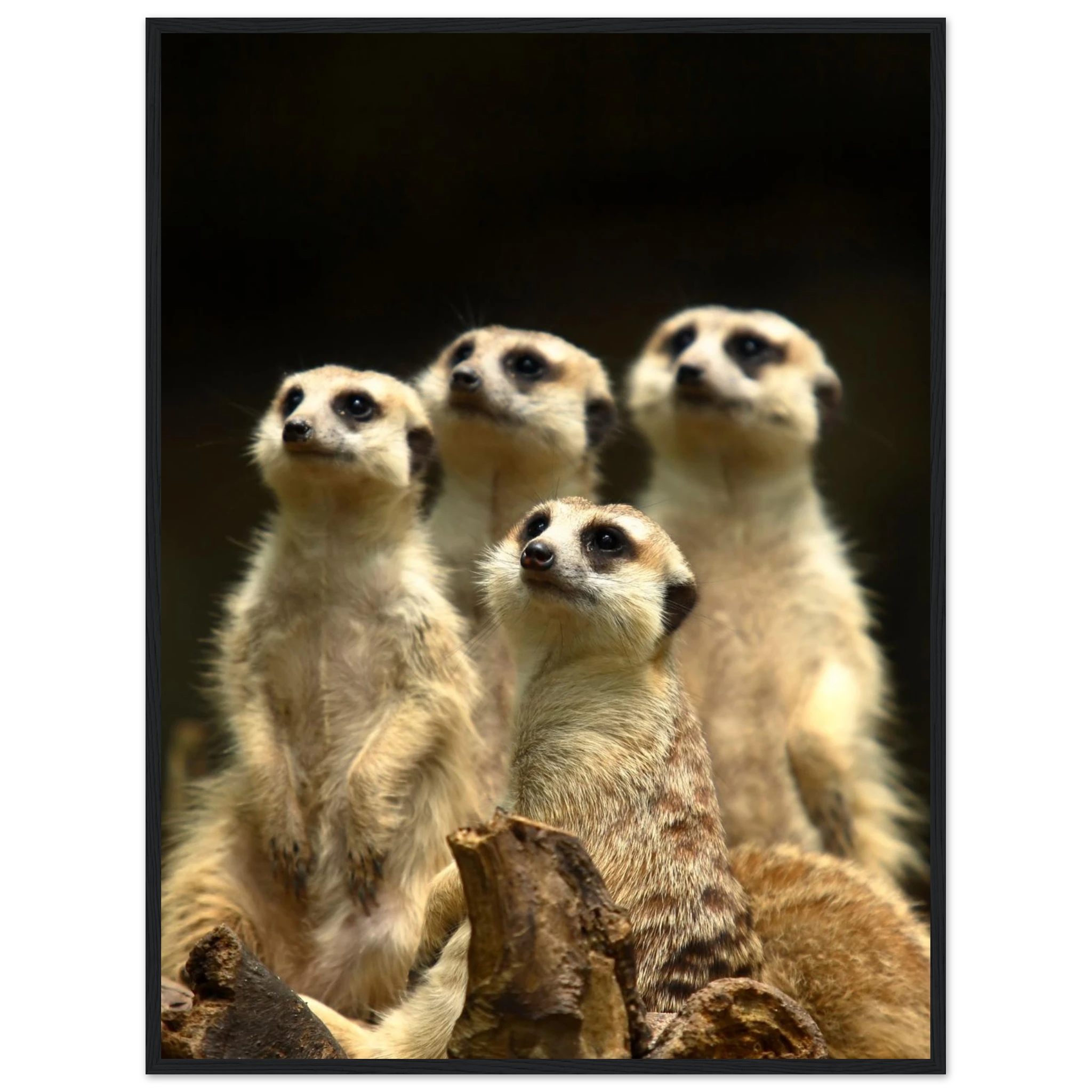 56dc772d-6ebe-4d79-81ce-f5df0303fab4