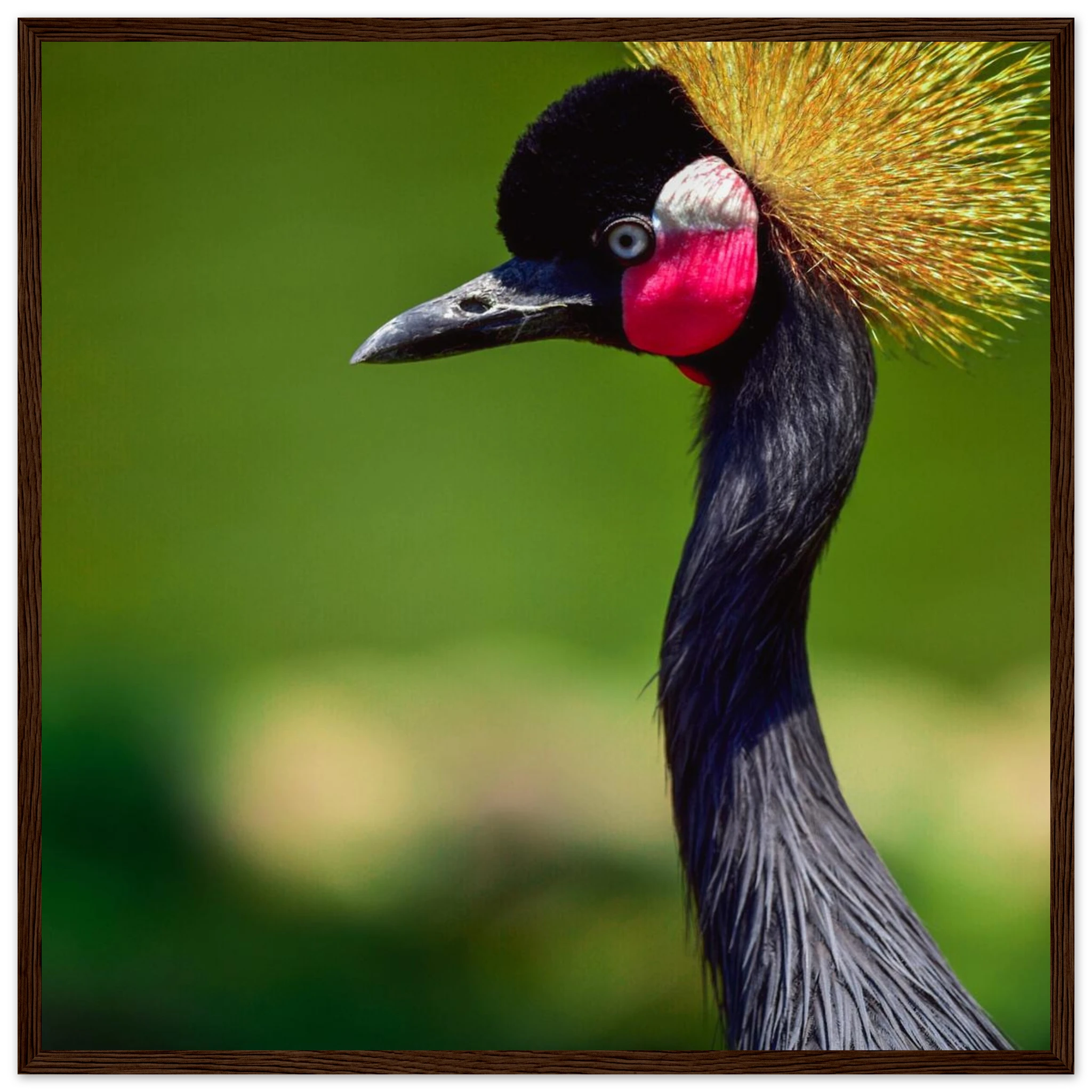 57168b87-7173-4e1b-aaba-c1aaccb41eeb