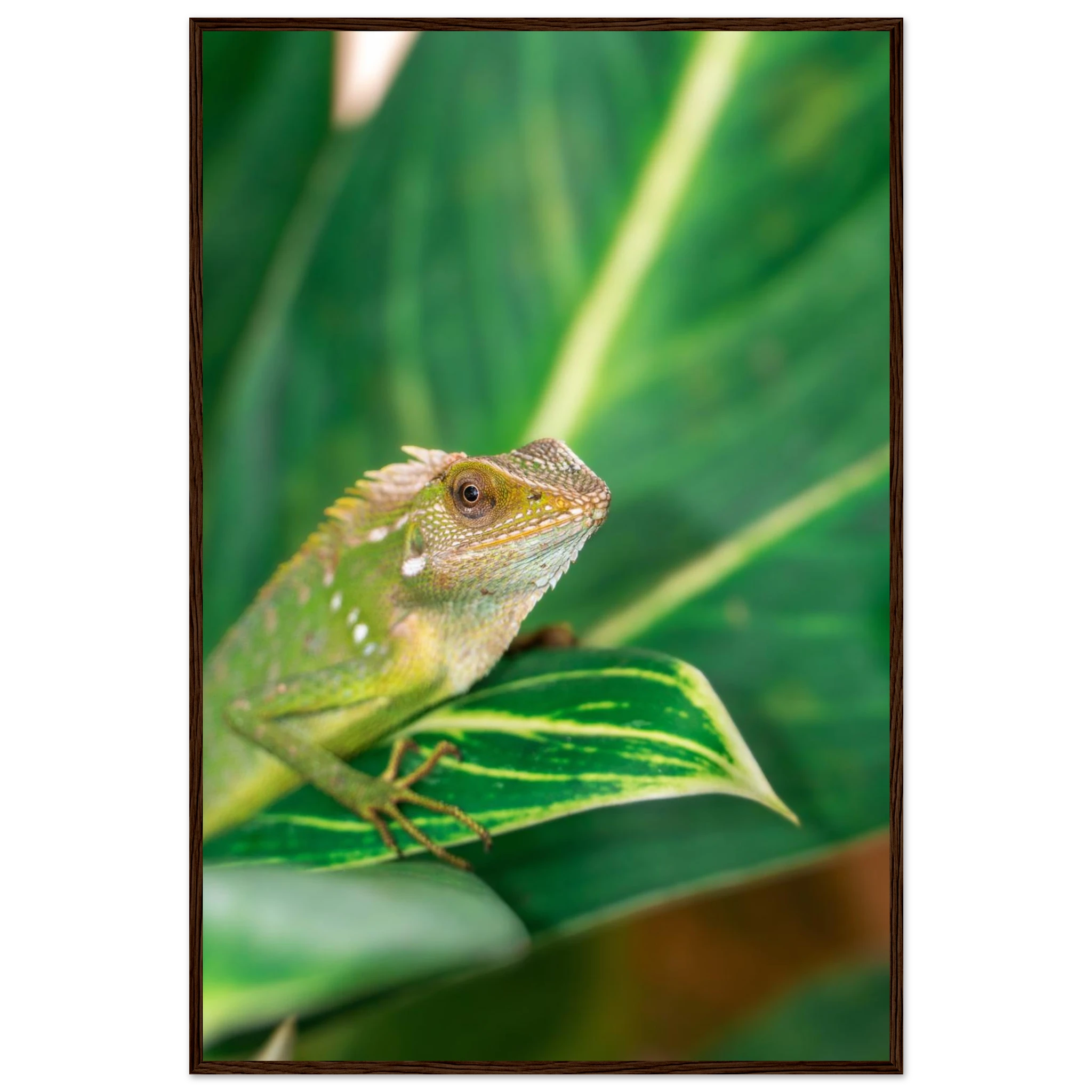 5721cc08-bb03-40e1-920e-785f15e9c68c