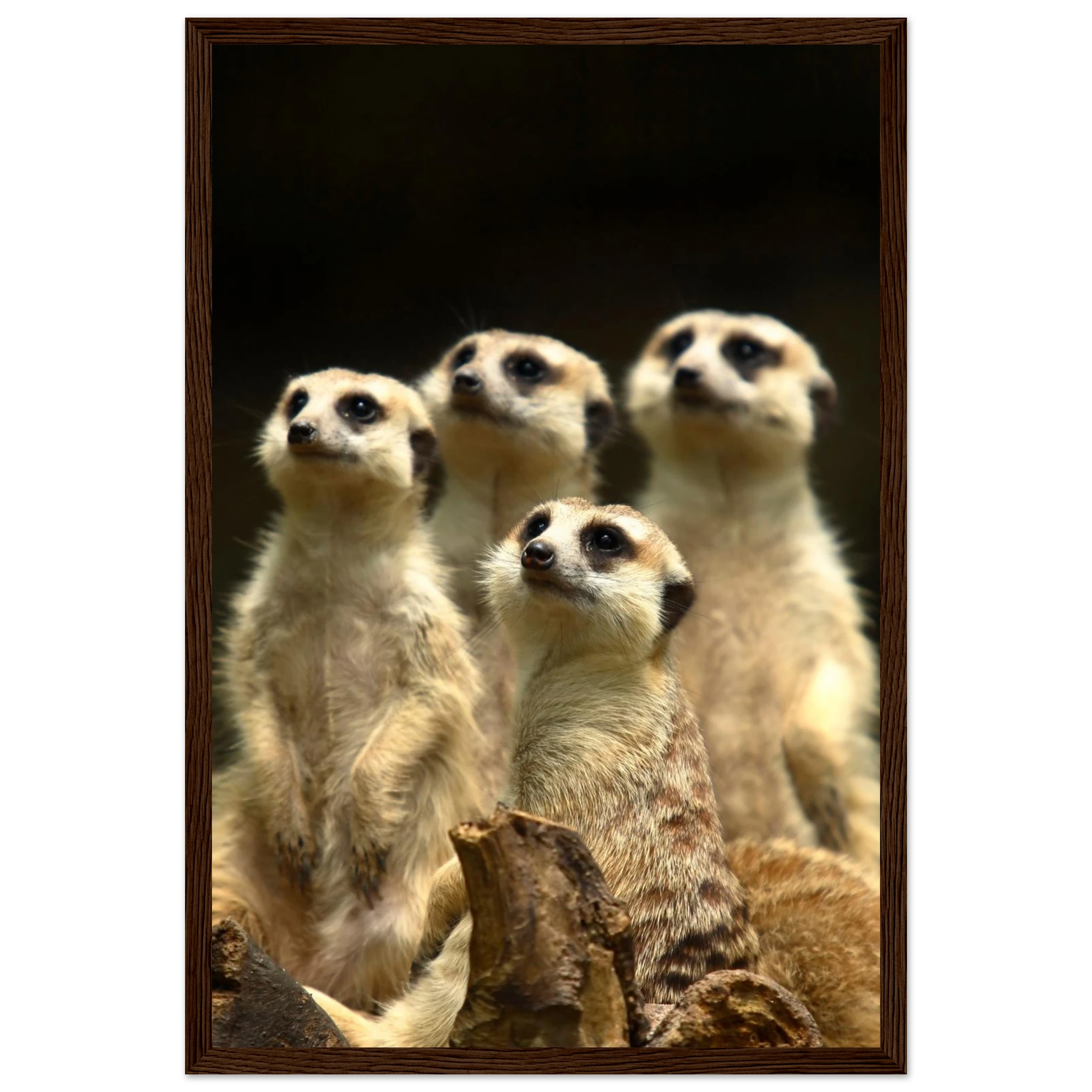 5740ab27-4612-421d-87ac-dbd5724c1b80