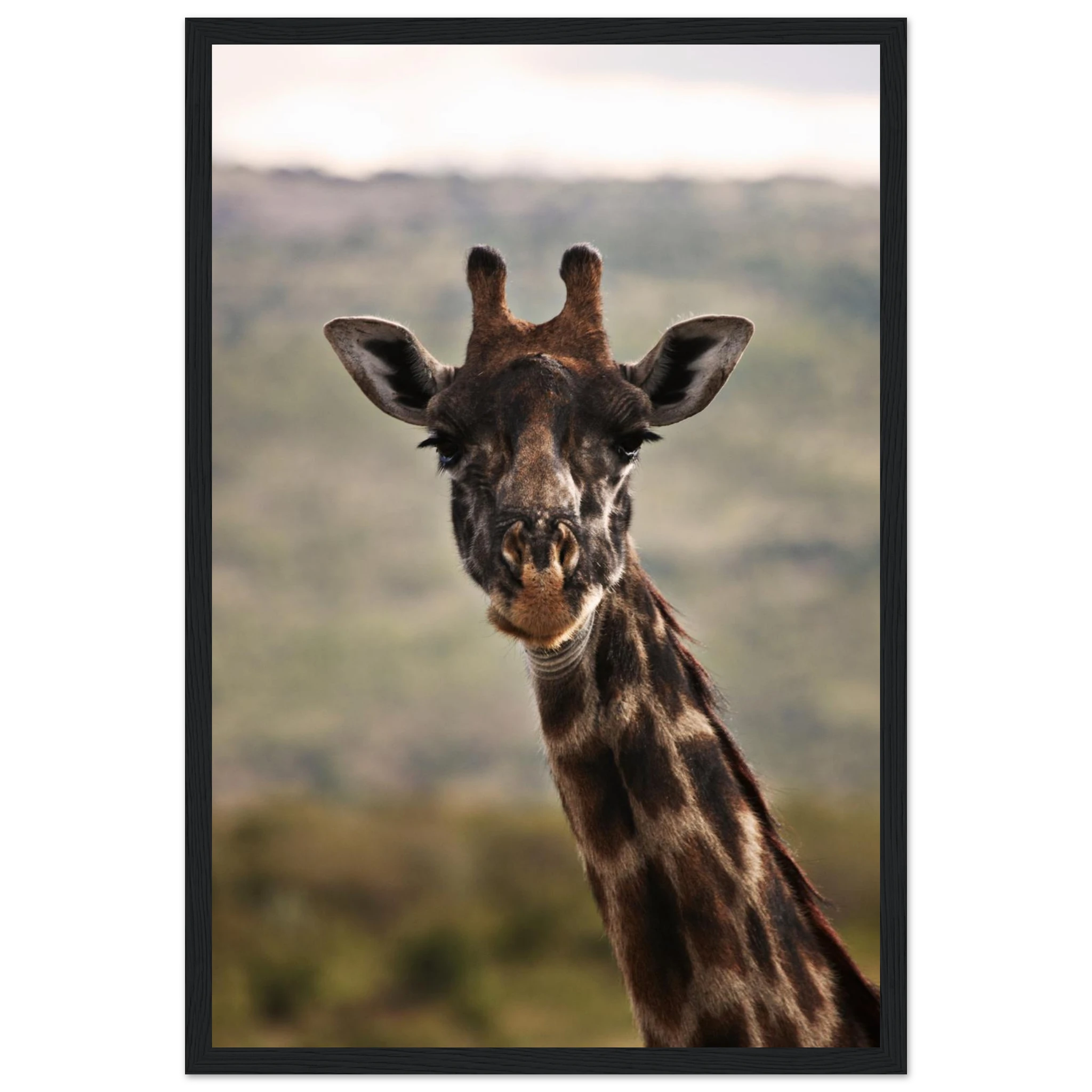 574f29d0-69a0-48f7-90fd-9f2f678293d0