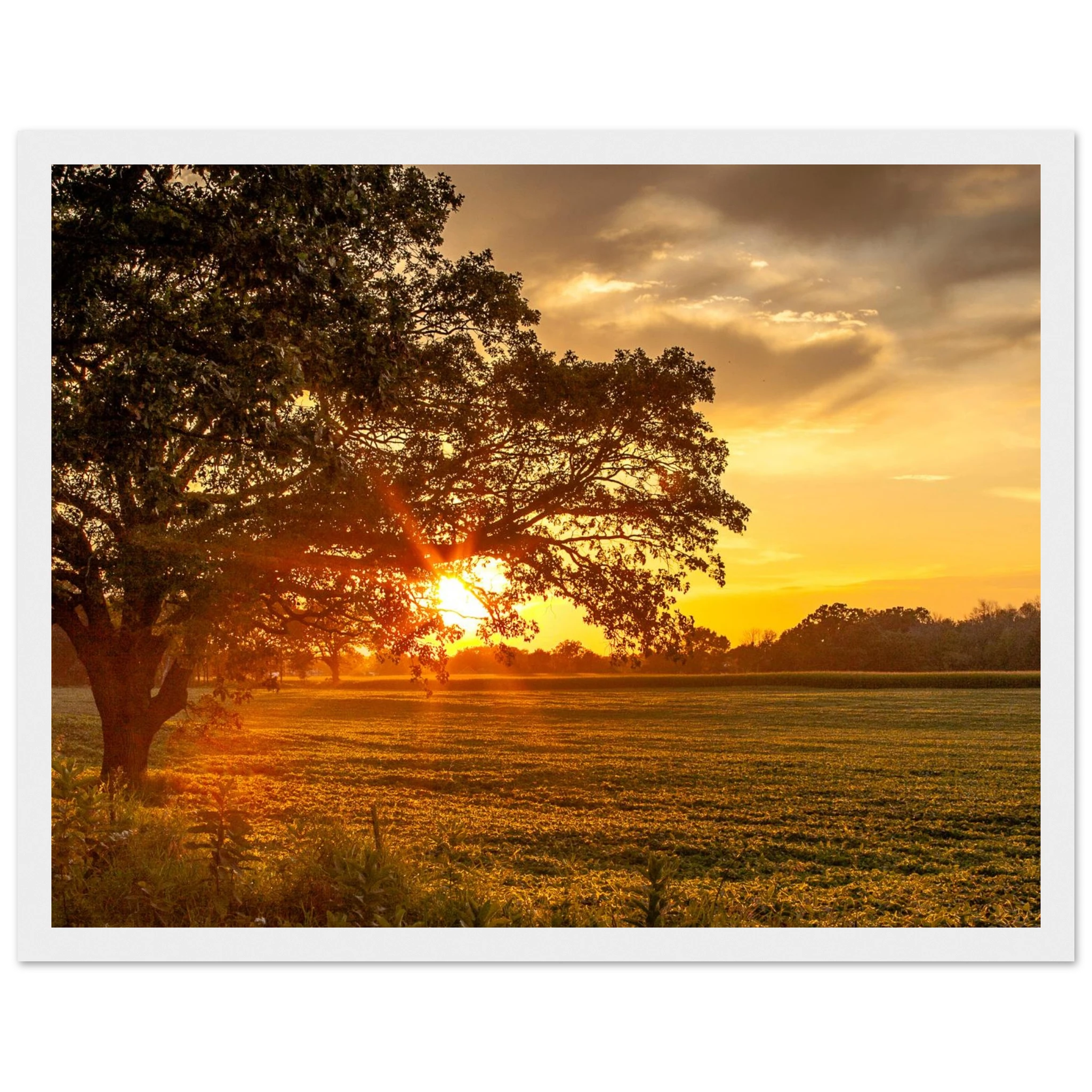 57532bec-2005-4d99-84f1-568536f2090a