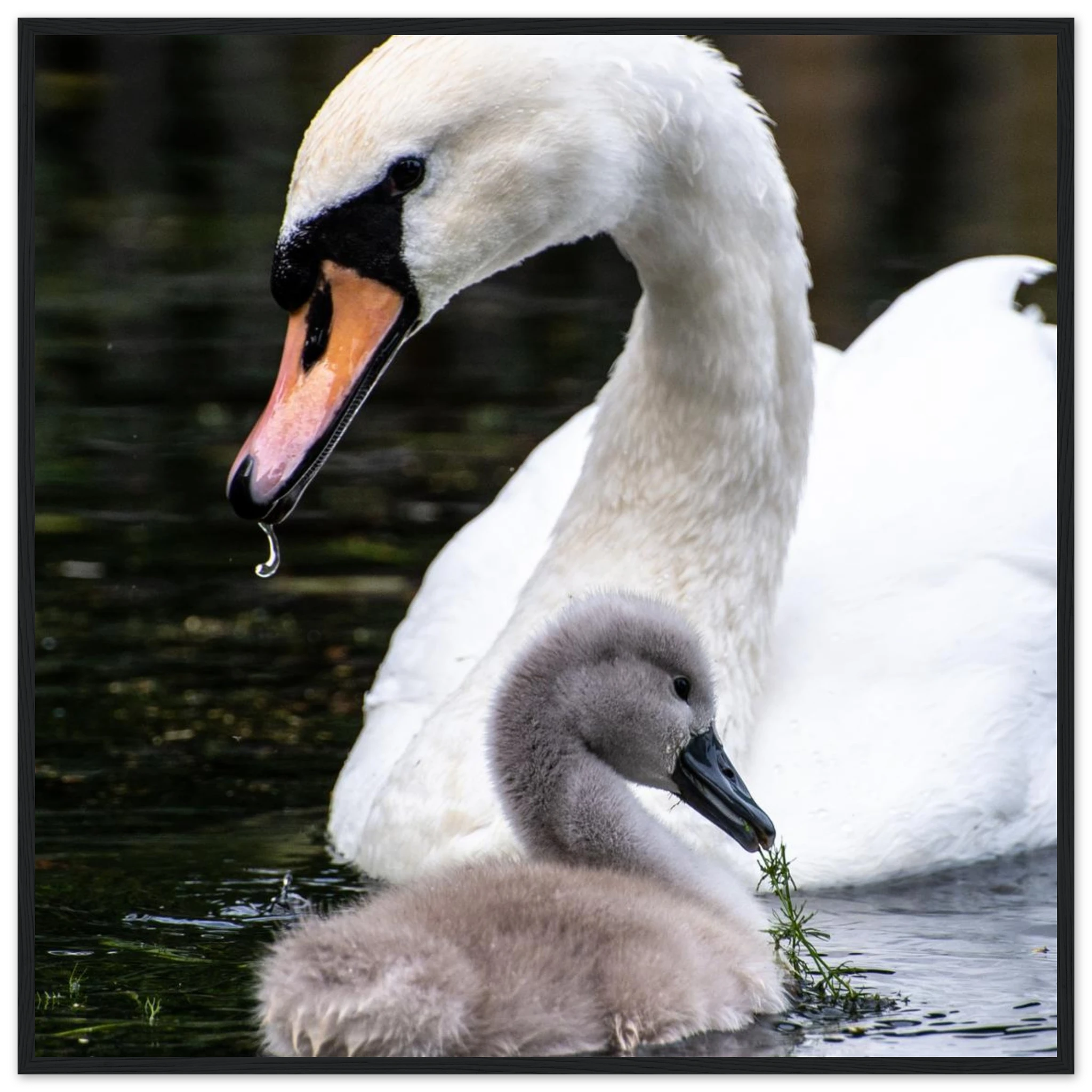 57631e5d-02eb-4157-9b67-a1115beff9ce