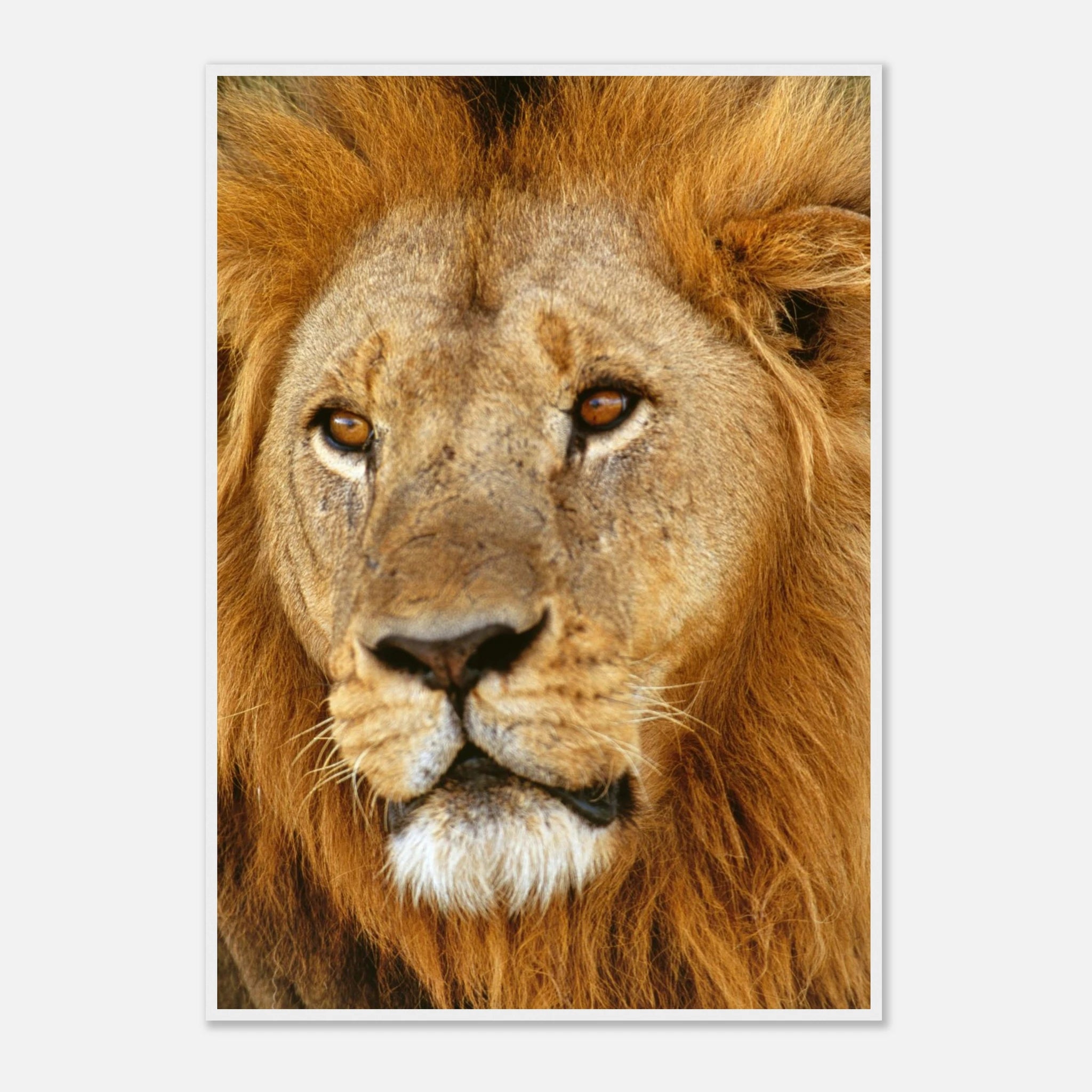 576bb4cc-52f1-47e4-acd0-c3b38d02a85c