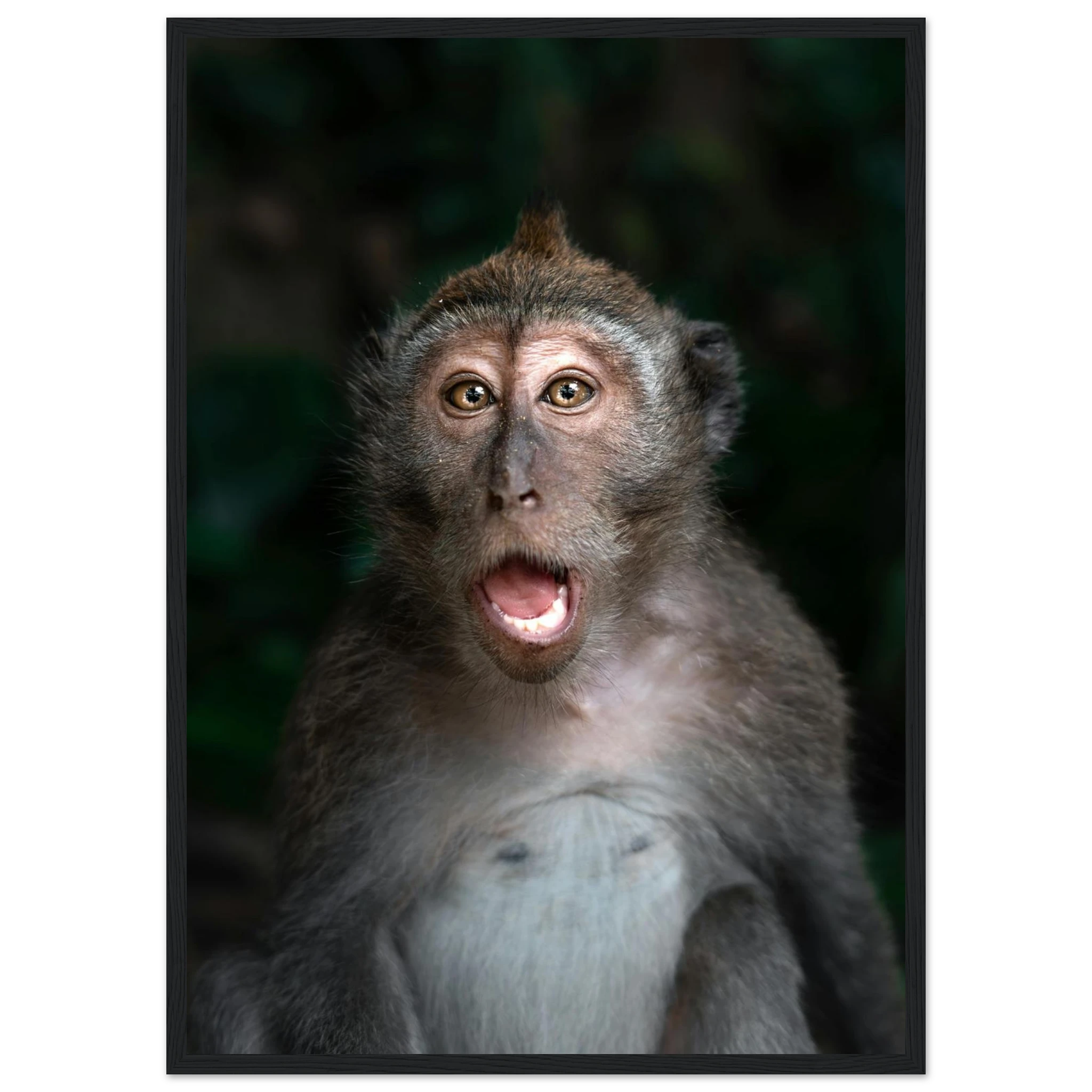 57874af9-52c4-463a-9f07-d85dd57bc759