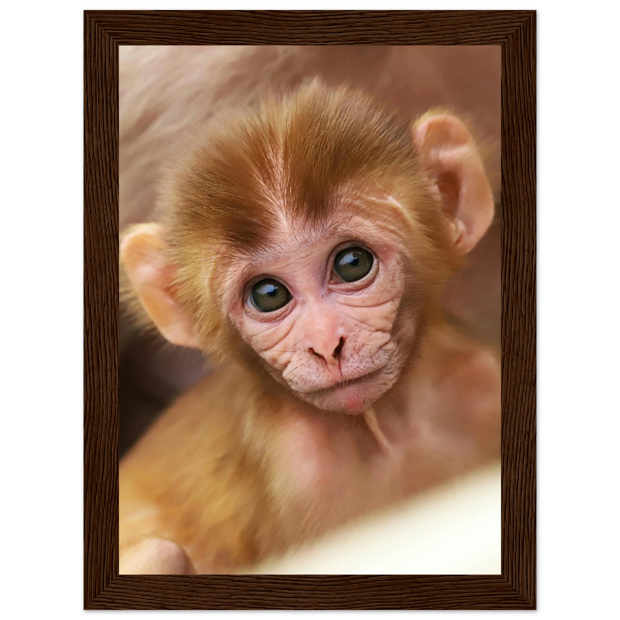 578dad0e-091a-426a-8e43-10b4f6e8d0f4