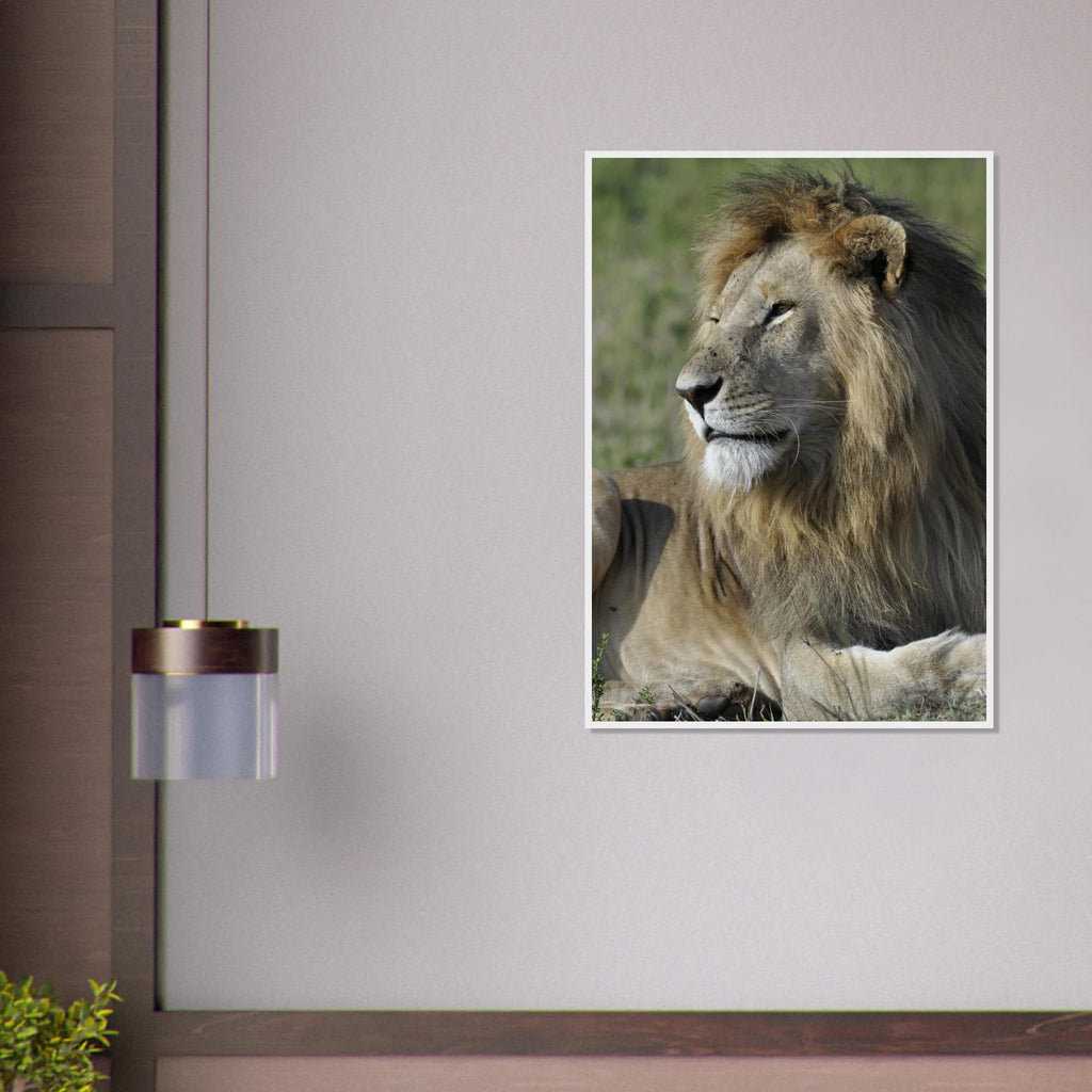 57b36178-9dbb-46e1-b036-354350bb9068