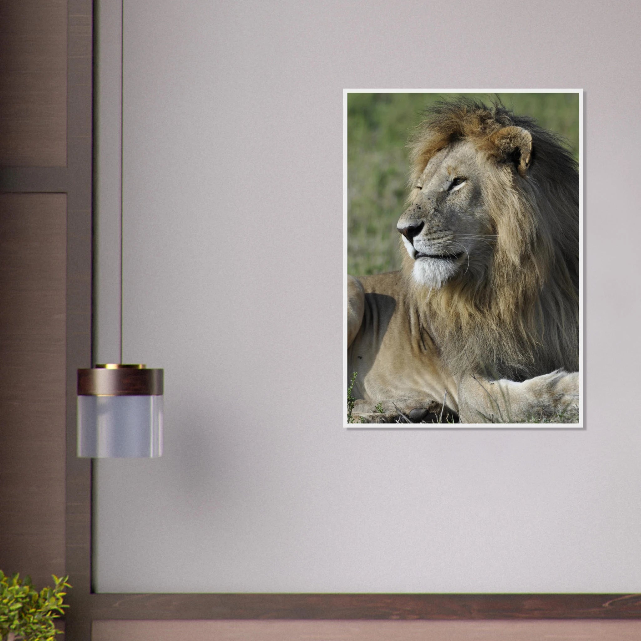 57b36178-9dbb-46e1-b036-354350bb9068