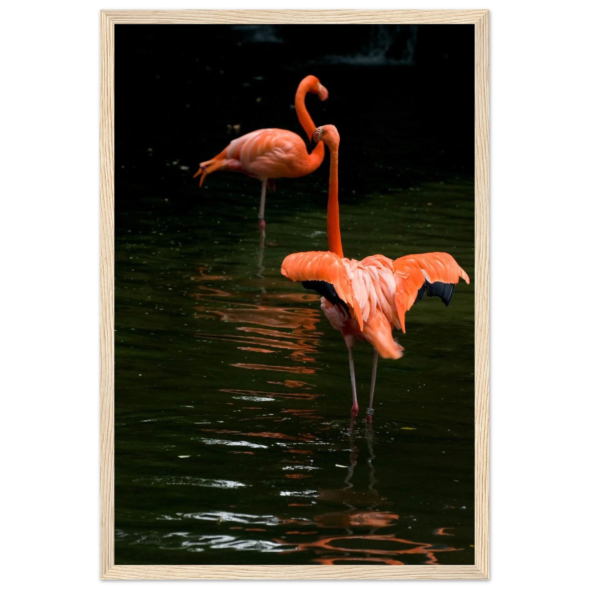 57be590e-61bd-4bfe-ae36-31da95b02ba4