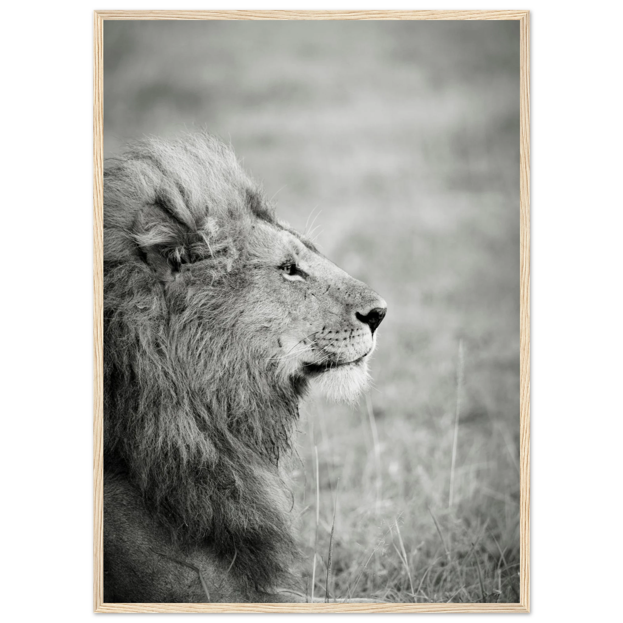 57e99918-a2c8-427f-9fcf-604b19cc5449