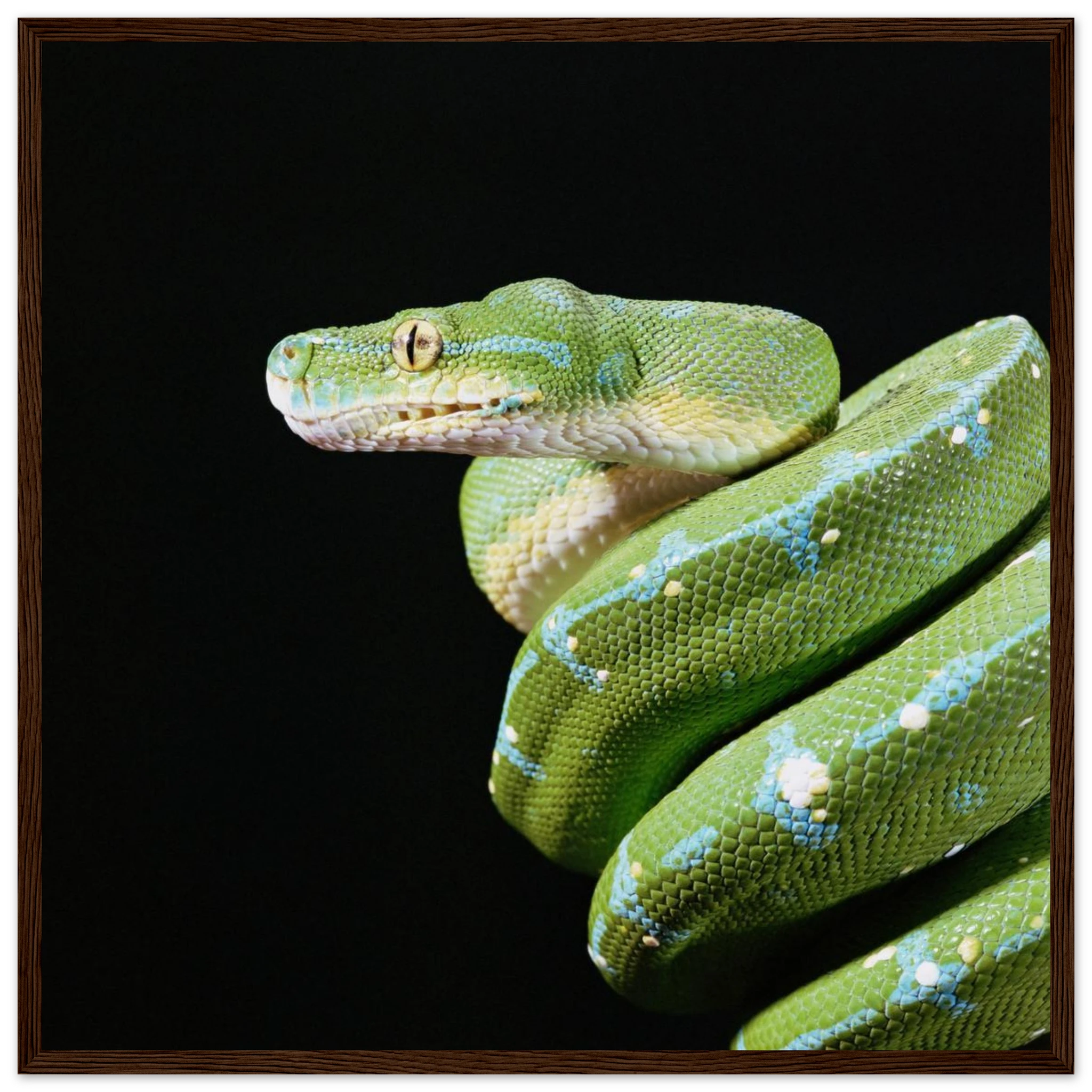 57eba324-448f-4644-9db8-3df70c7423b8