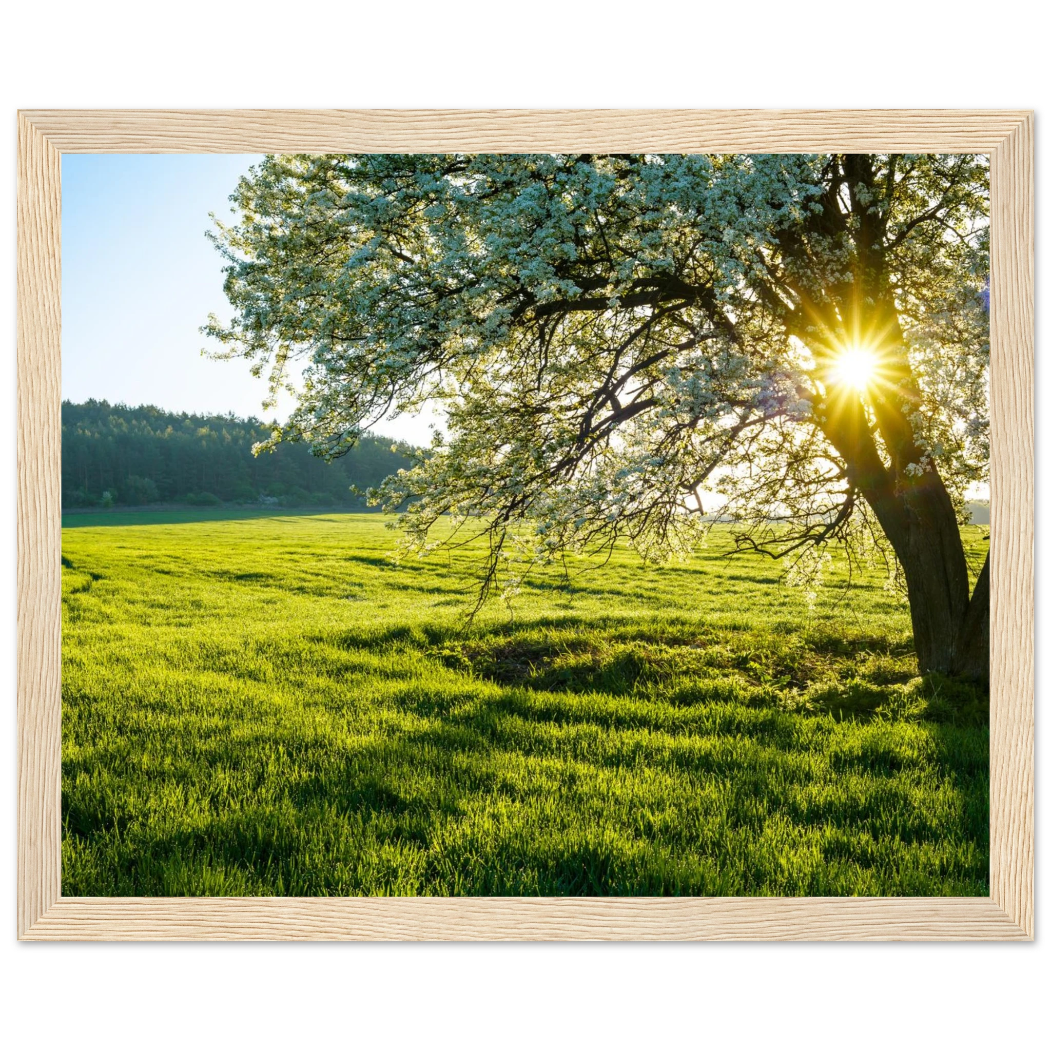 5801b62d-0dd7-45c5-8869-9a0a530b7b5f