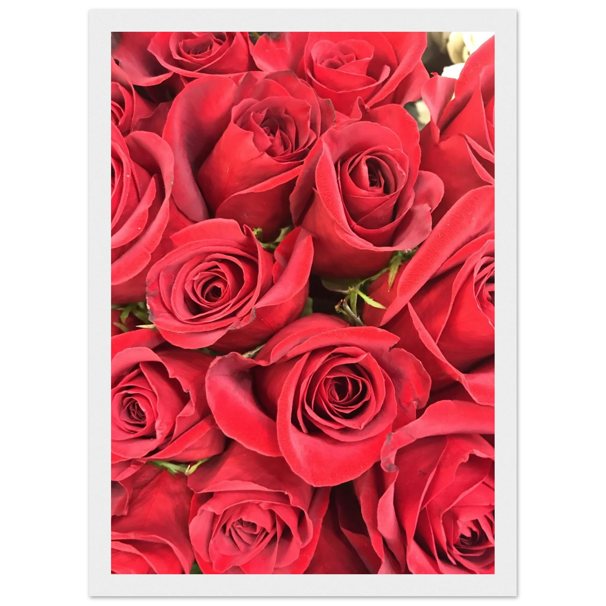 581084e9-939e-400d-ab58-ddc308374a05