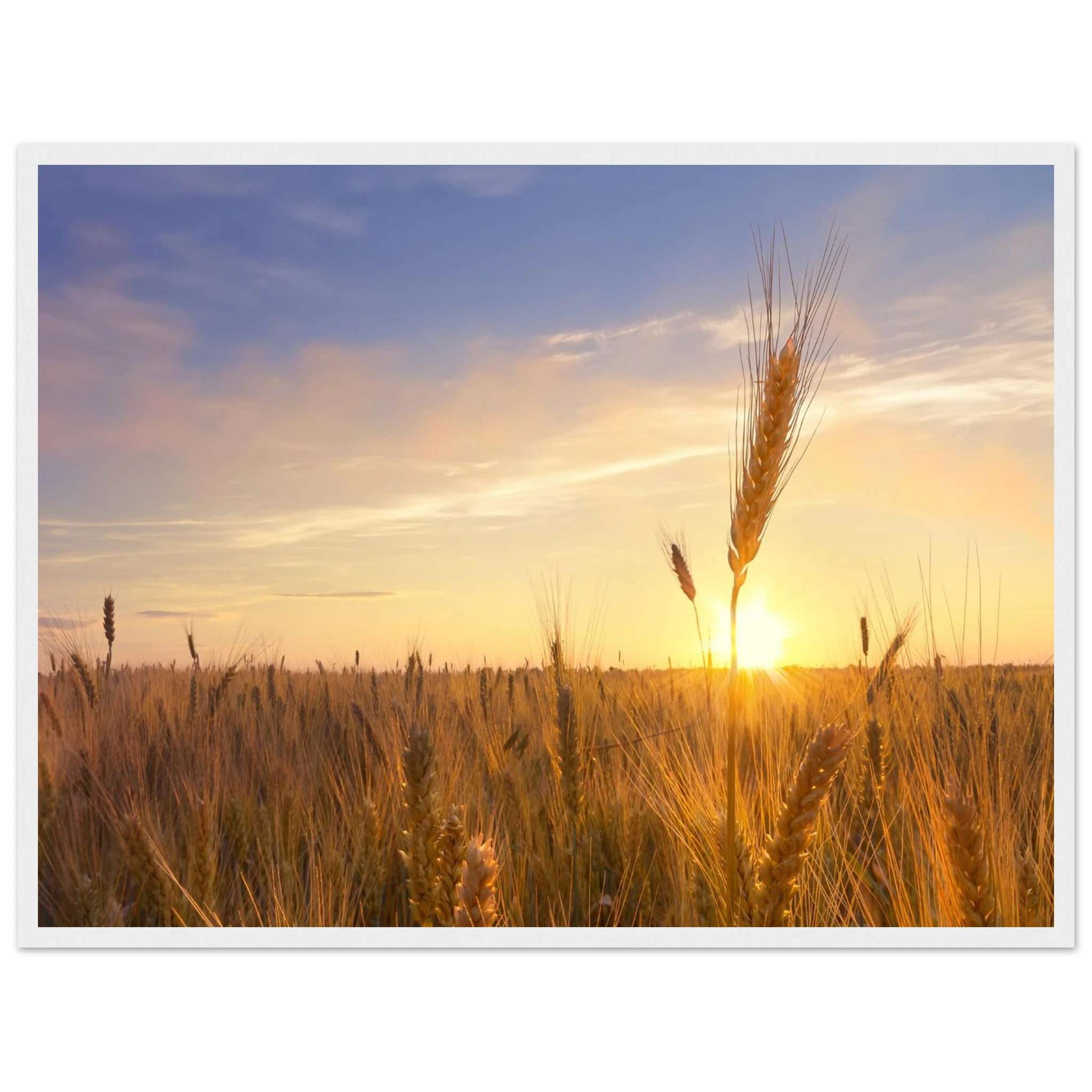 58167c4c-181f-40c3-88ce-f4cdadfdccd2