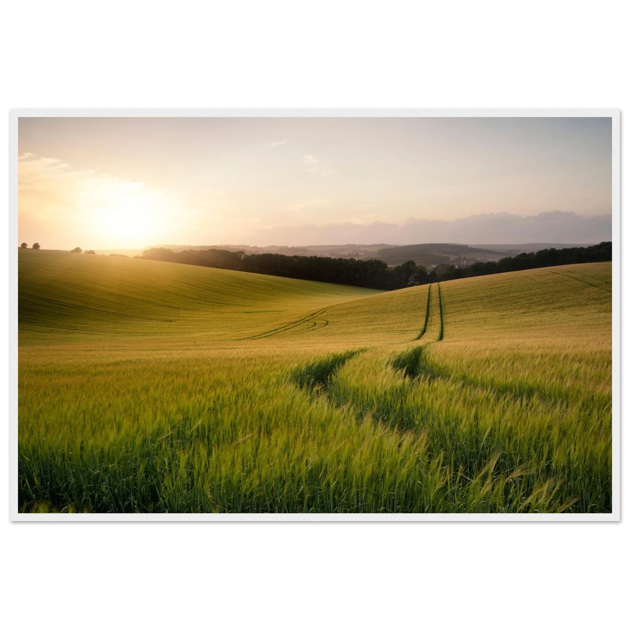 5827adc9-d54e-442b-9288-44ba82b90707