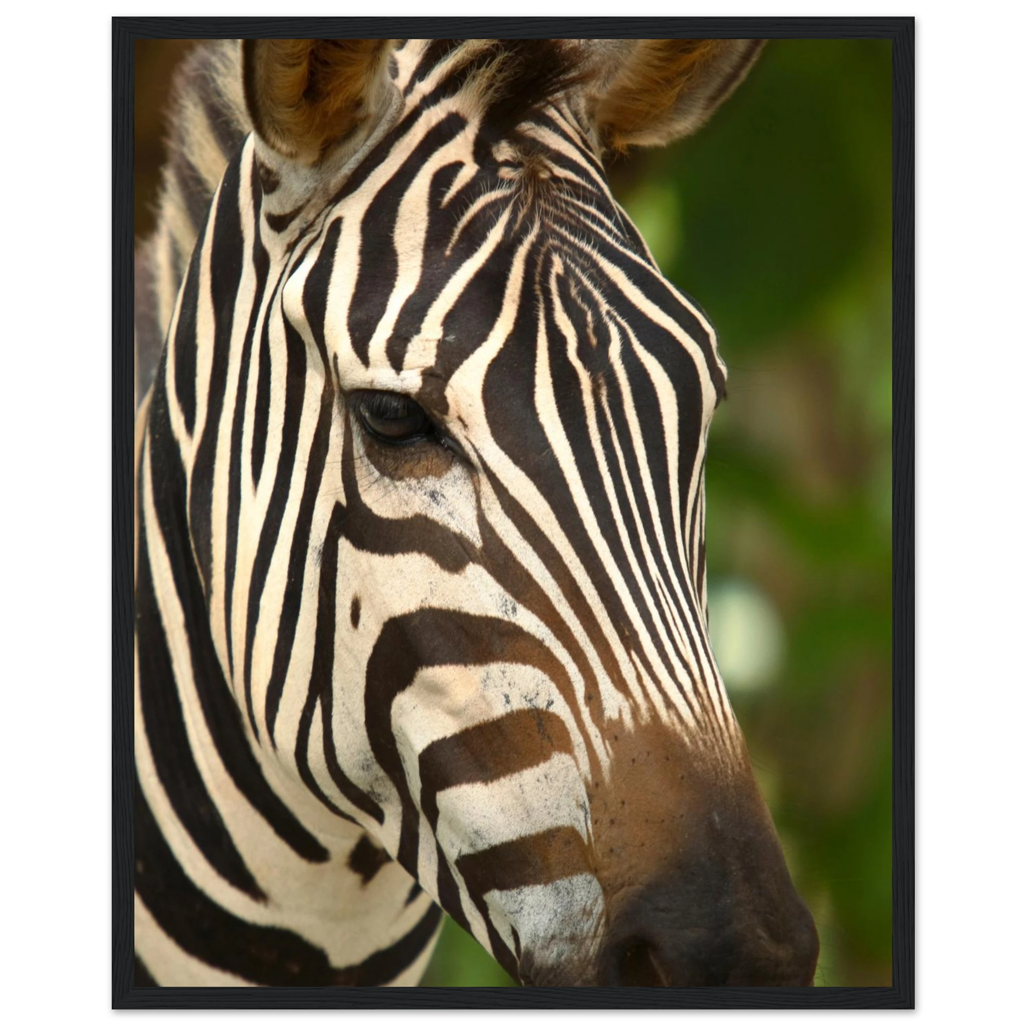 583cd9d9-380b-42e4-99e1-d39dc1f408c4