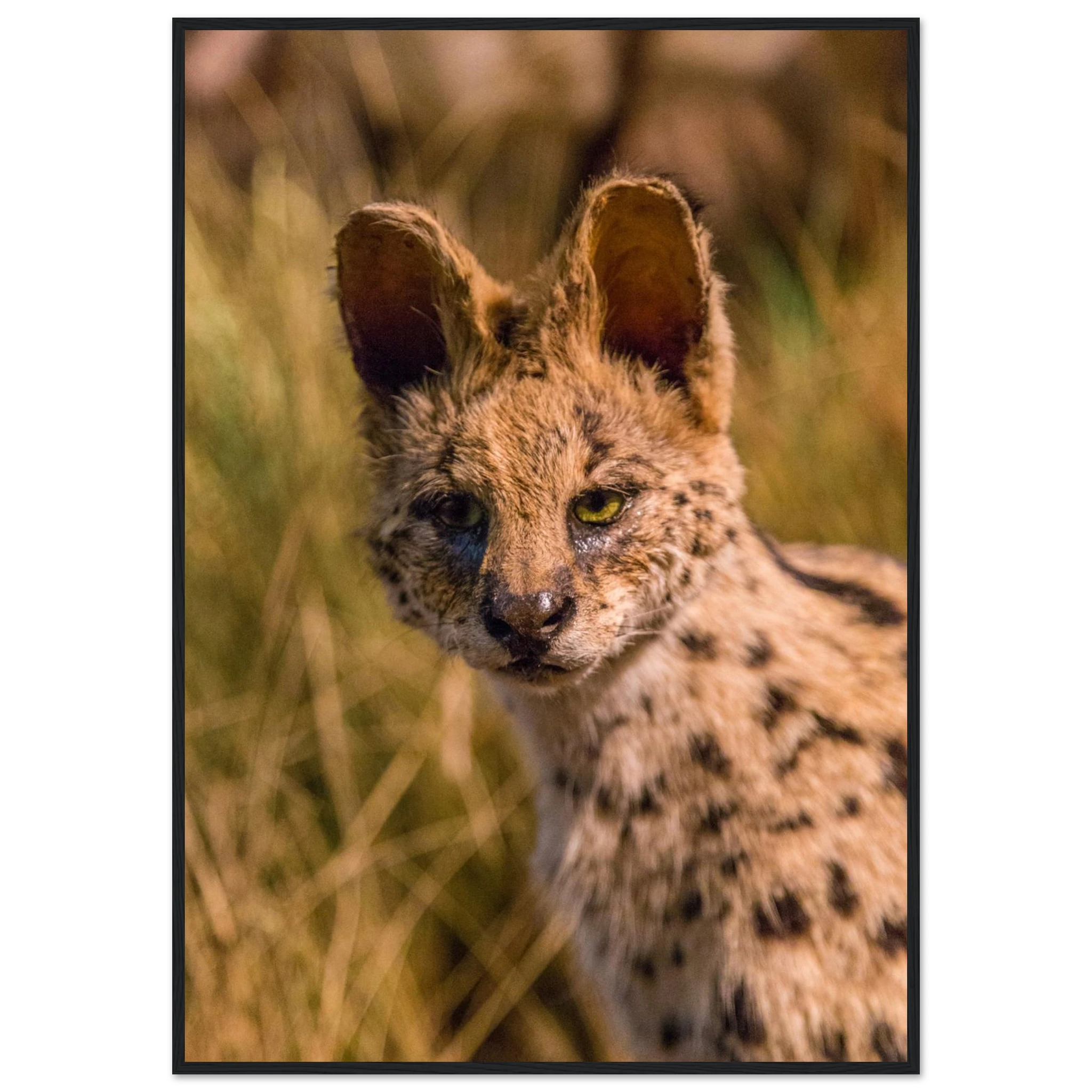 58584416-9f9b-46ed-91e8-460c7e79d018