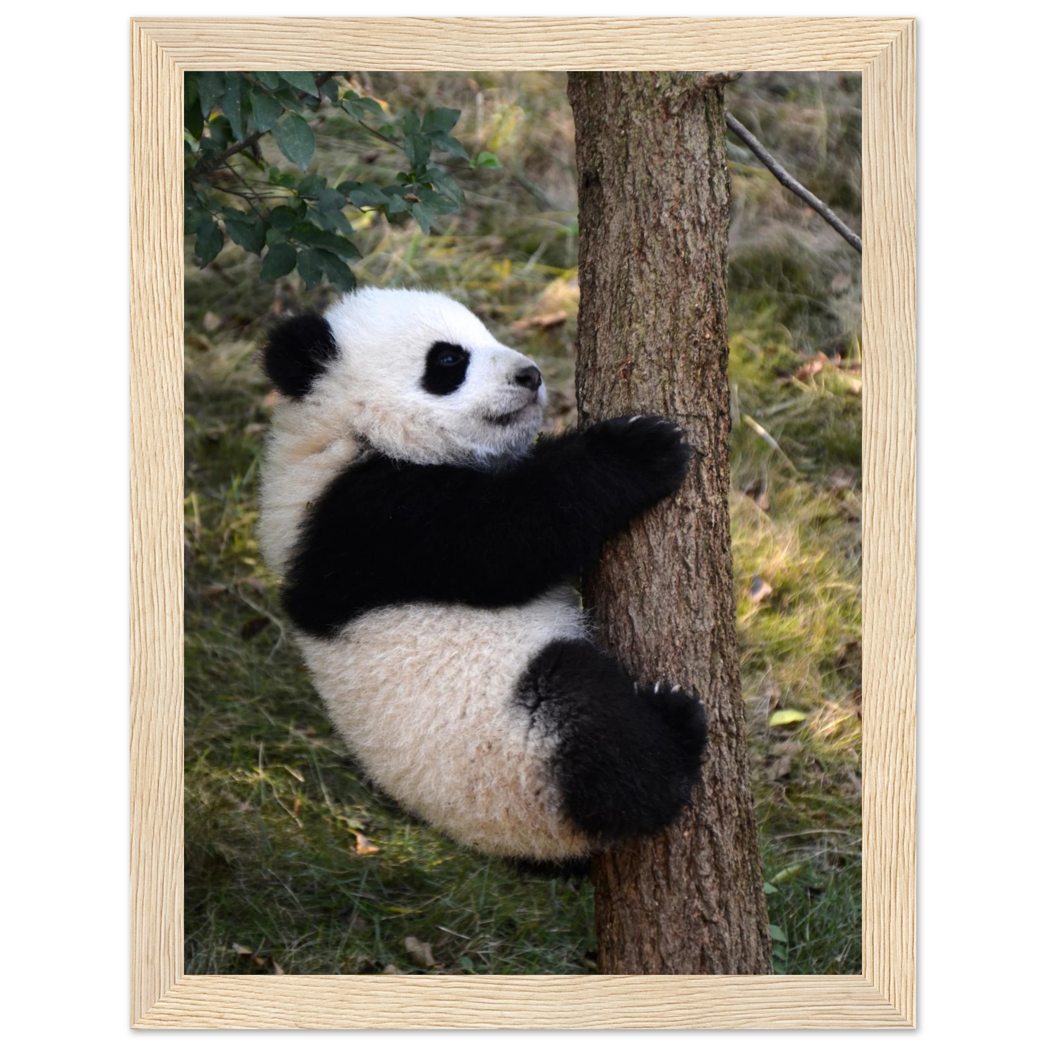 5858ba2e-d22d-4670-a45f-7a9e5bb419b9