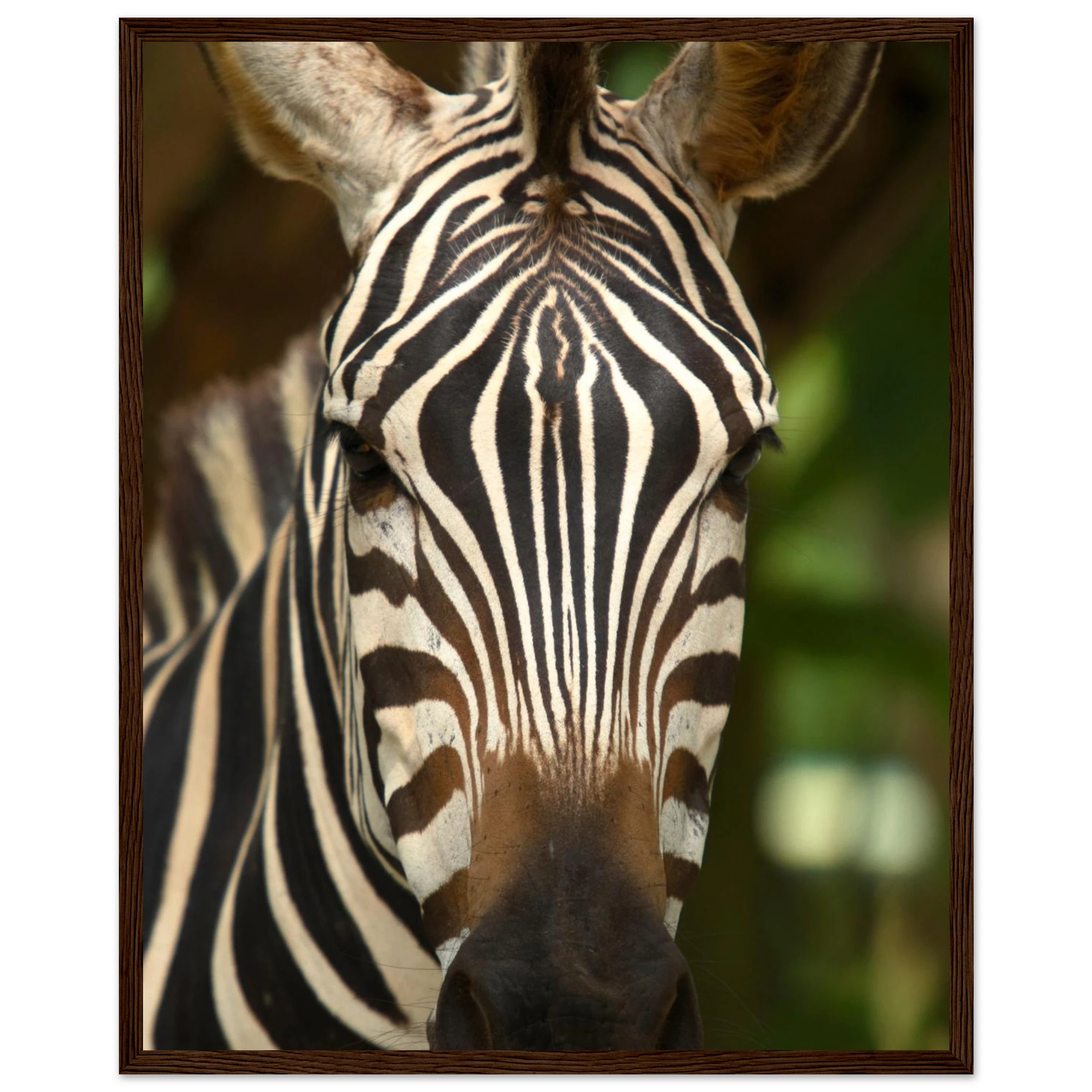 589906dc-afd2-4ba1-b6f6-425b91a5da2d