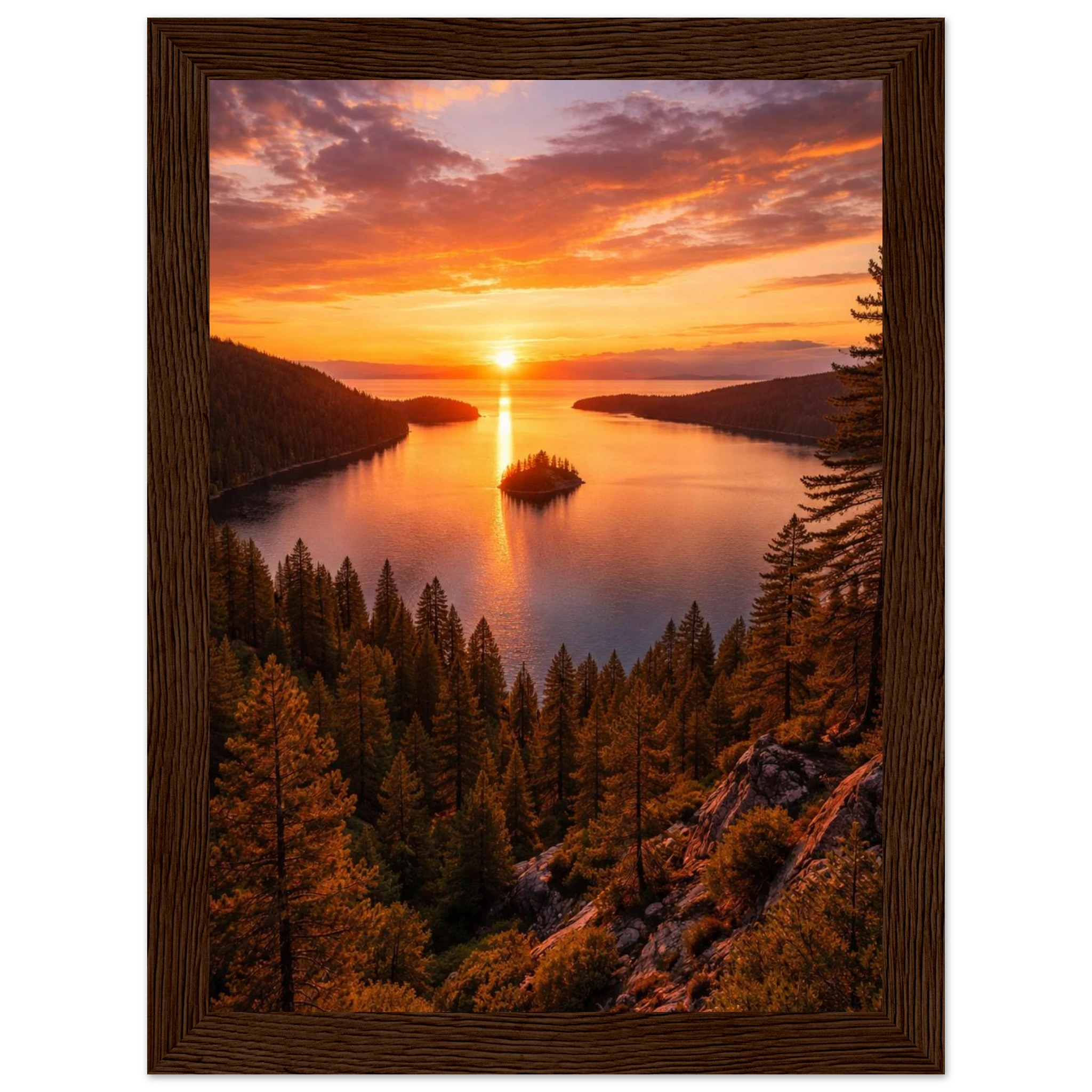 5899335c-9d24-4c64-ae0e-5beada037434