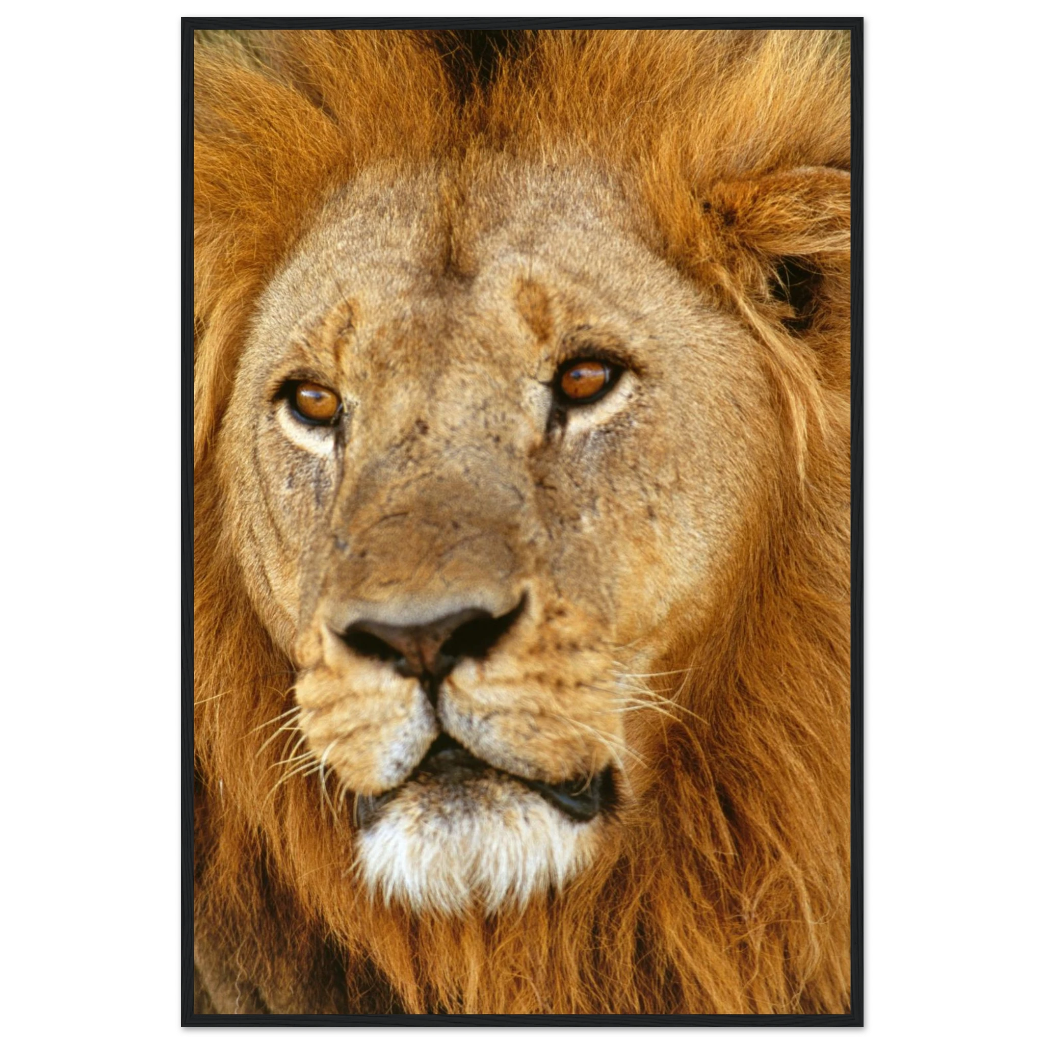 589e9528-2f30-4e65-92fb-1a85555b089b