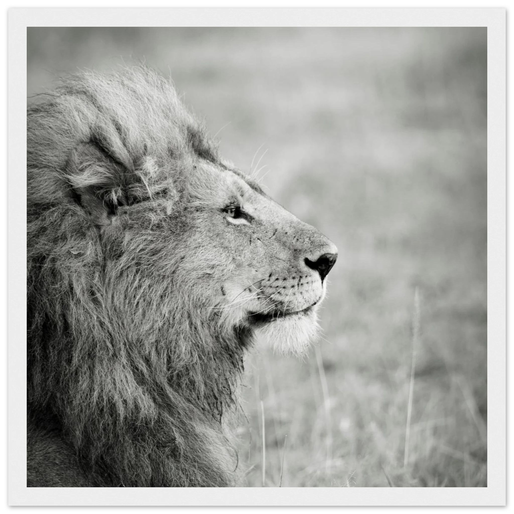 58a1d448-7f23-4137-8cf7-486b1bb00dd2