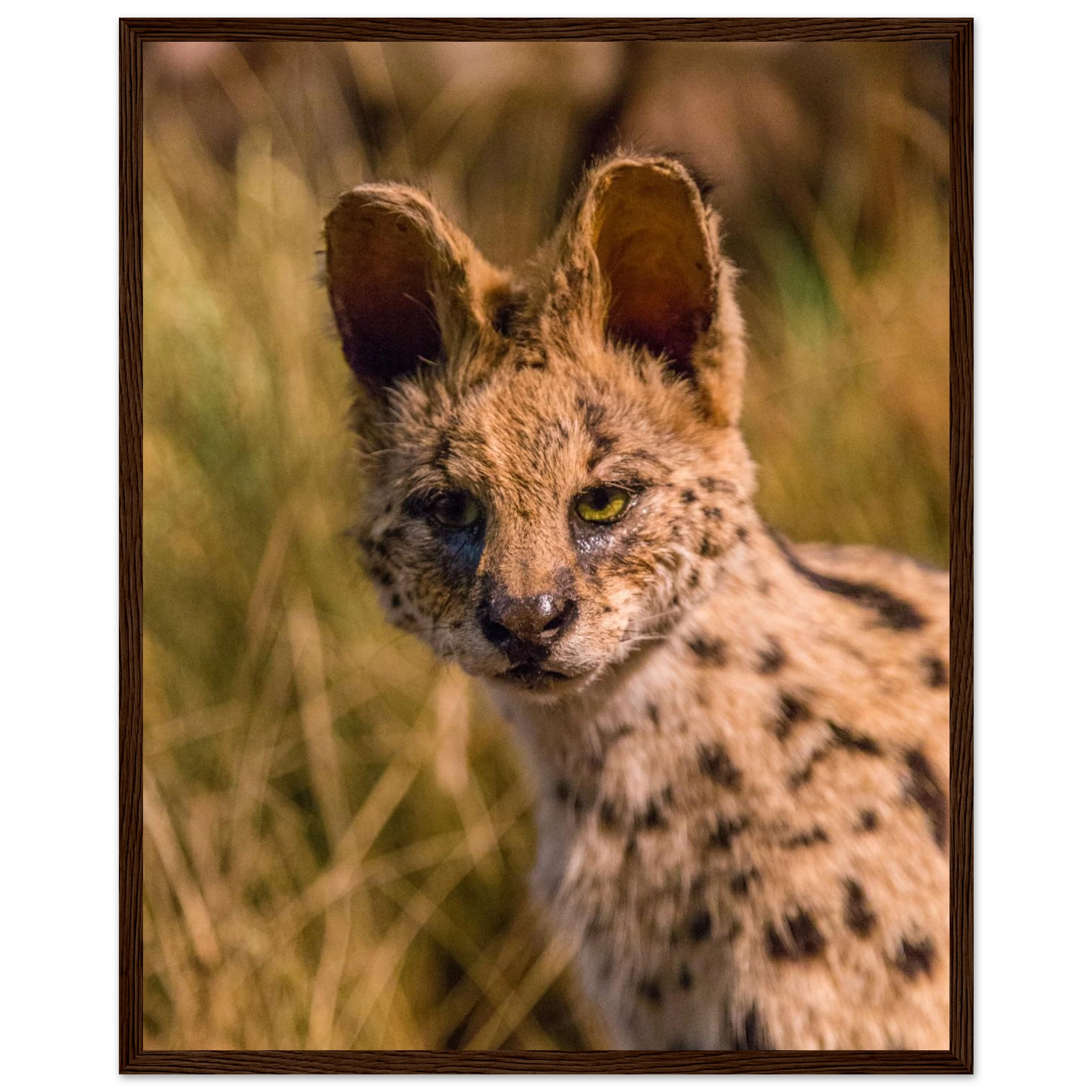 58ada870-b7e1-4d33-a194-7d6e30657e88