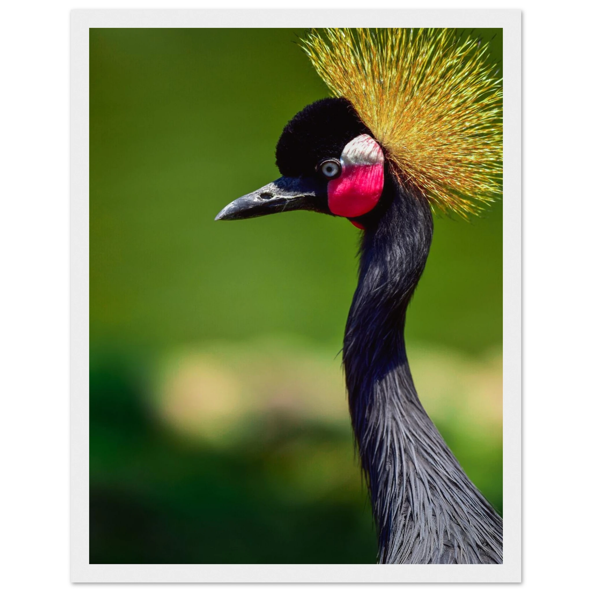 58ae786b-37f9-410b-b06e-4ad50e57fd49