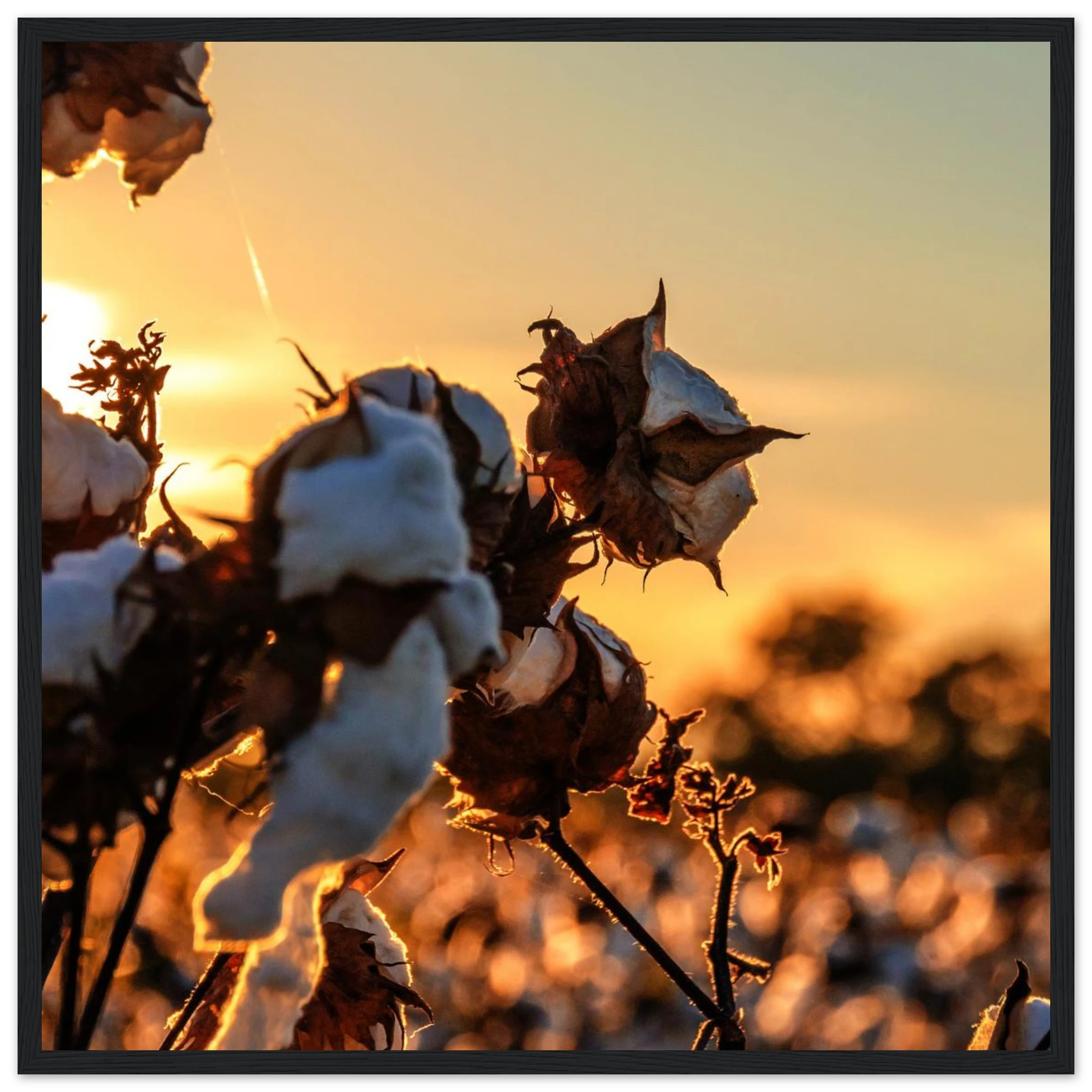 58b3913b-c624-4b2e-b5a4-17216876f8cf