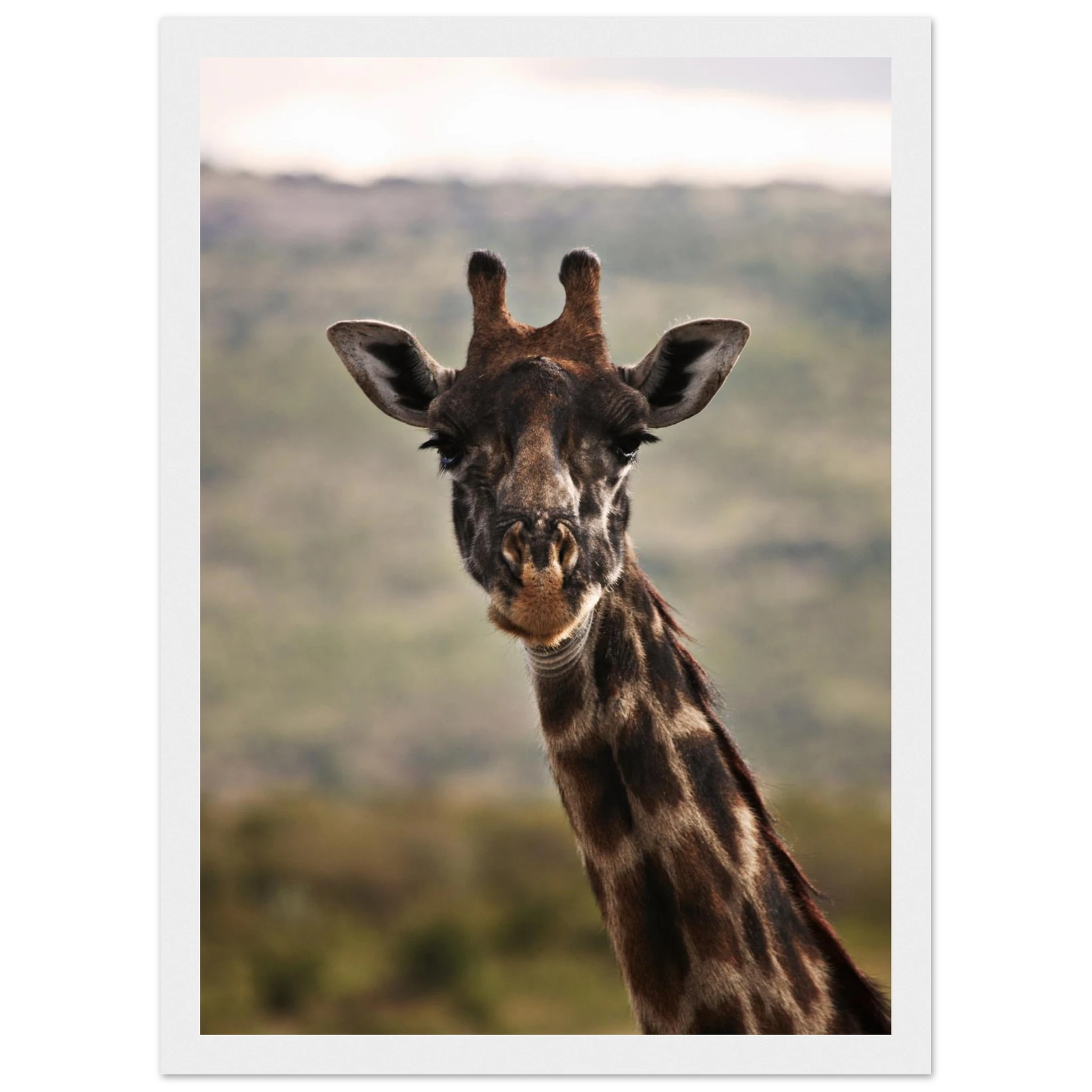 58d51f53-bc58-4f1a-8a03-4171d51d290b