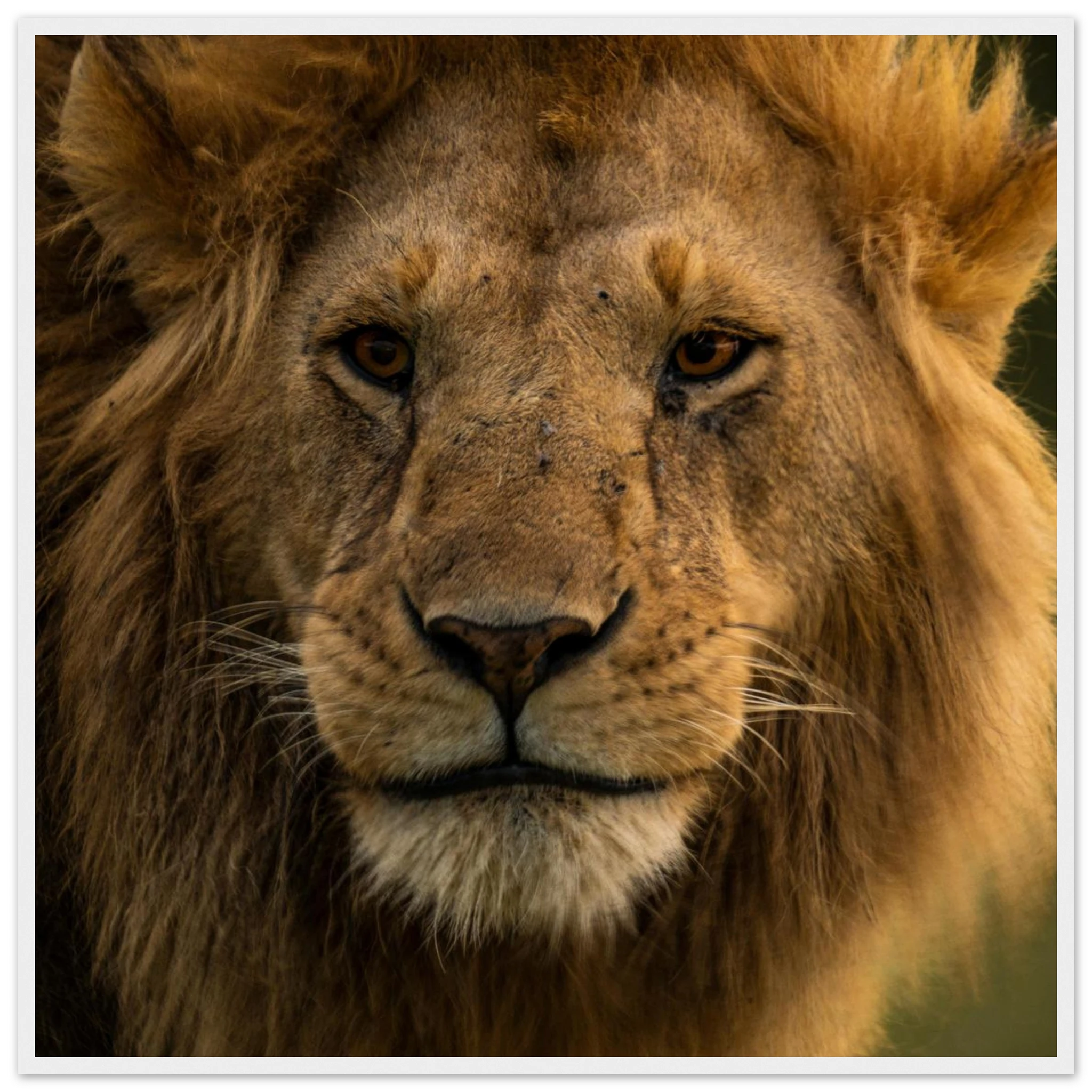 58de4ecc-b56a-4abc-b274-1ae213aaf165